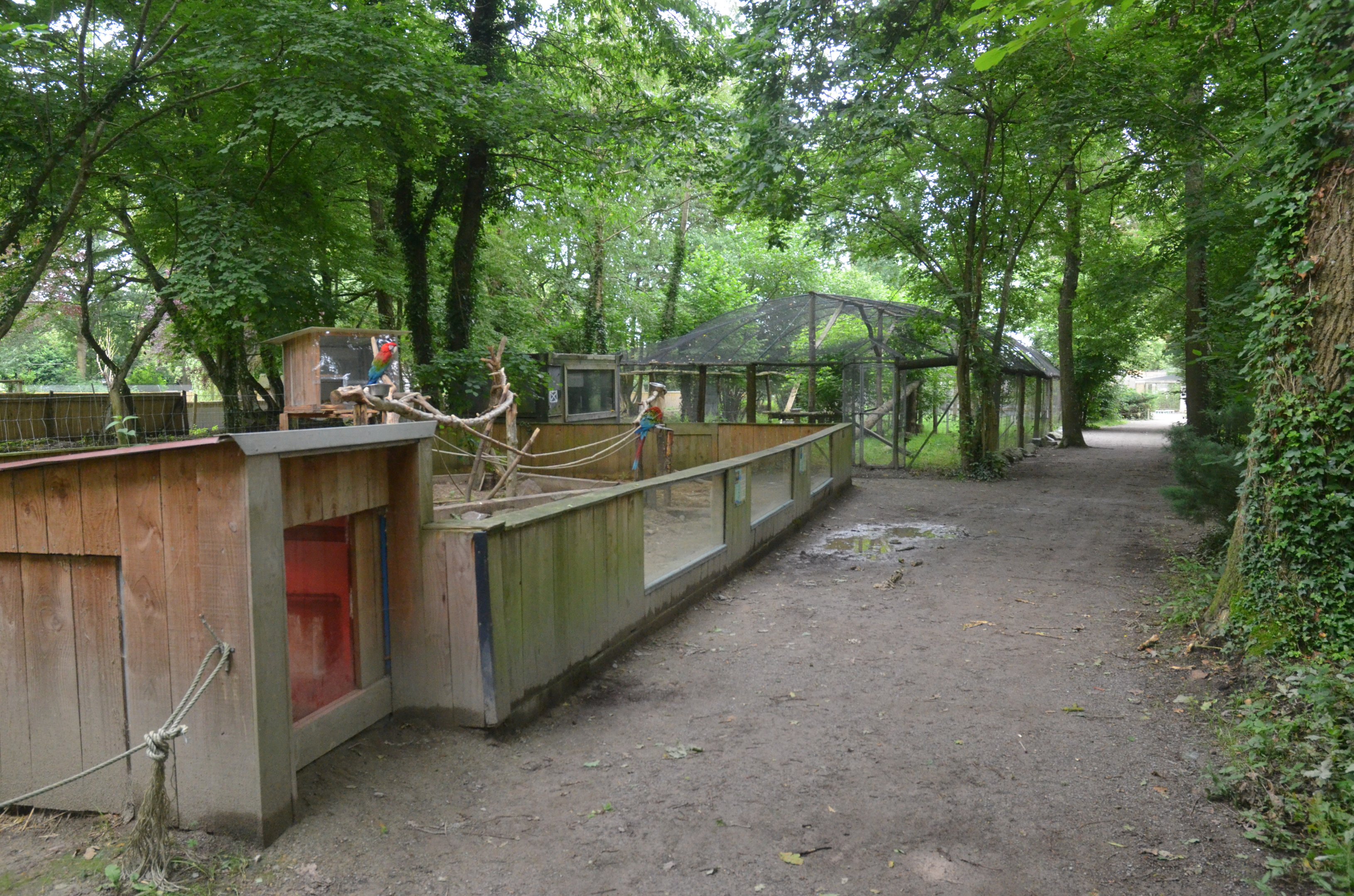 Macaw and Armadillo Enclosure at Spaycific'Zoo, 13/06/18