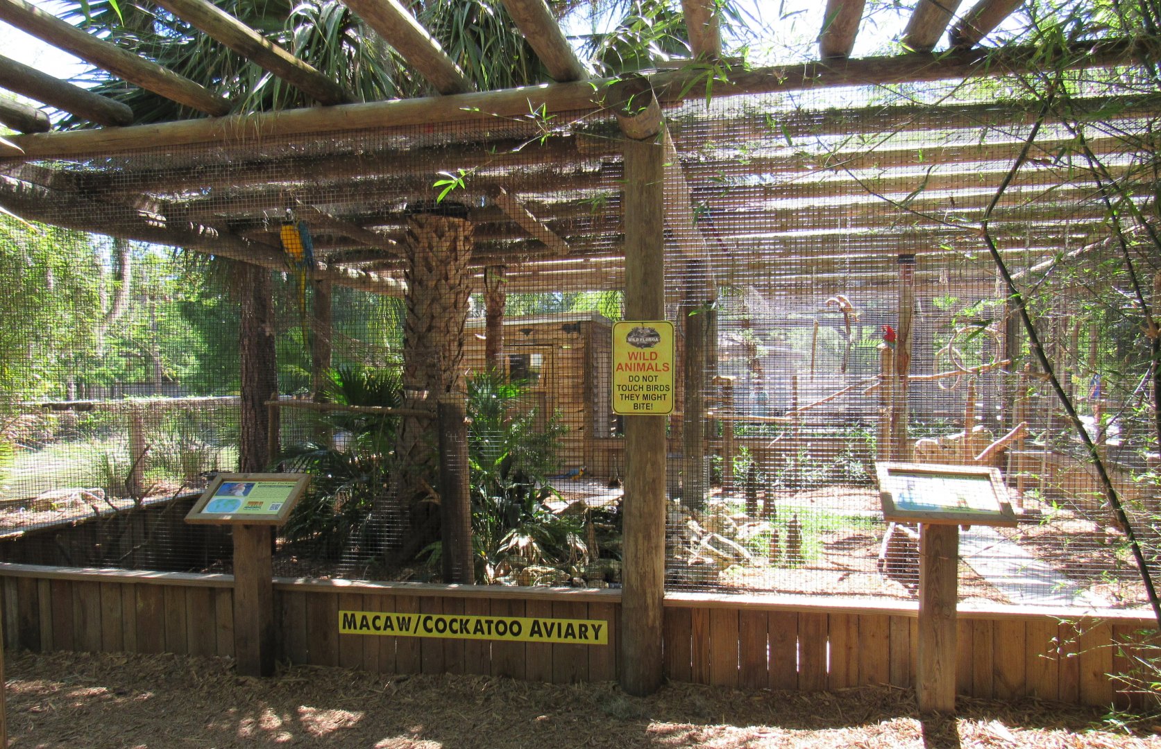 Macaw and Cockatoo Aviary - Wild Florida
