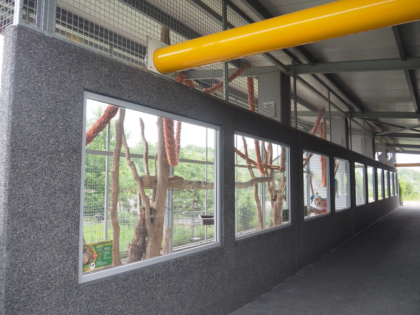 Macaw and curassow outdoor aviary, 2022-05-17