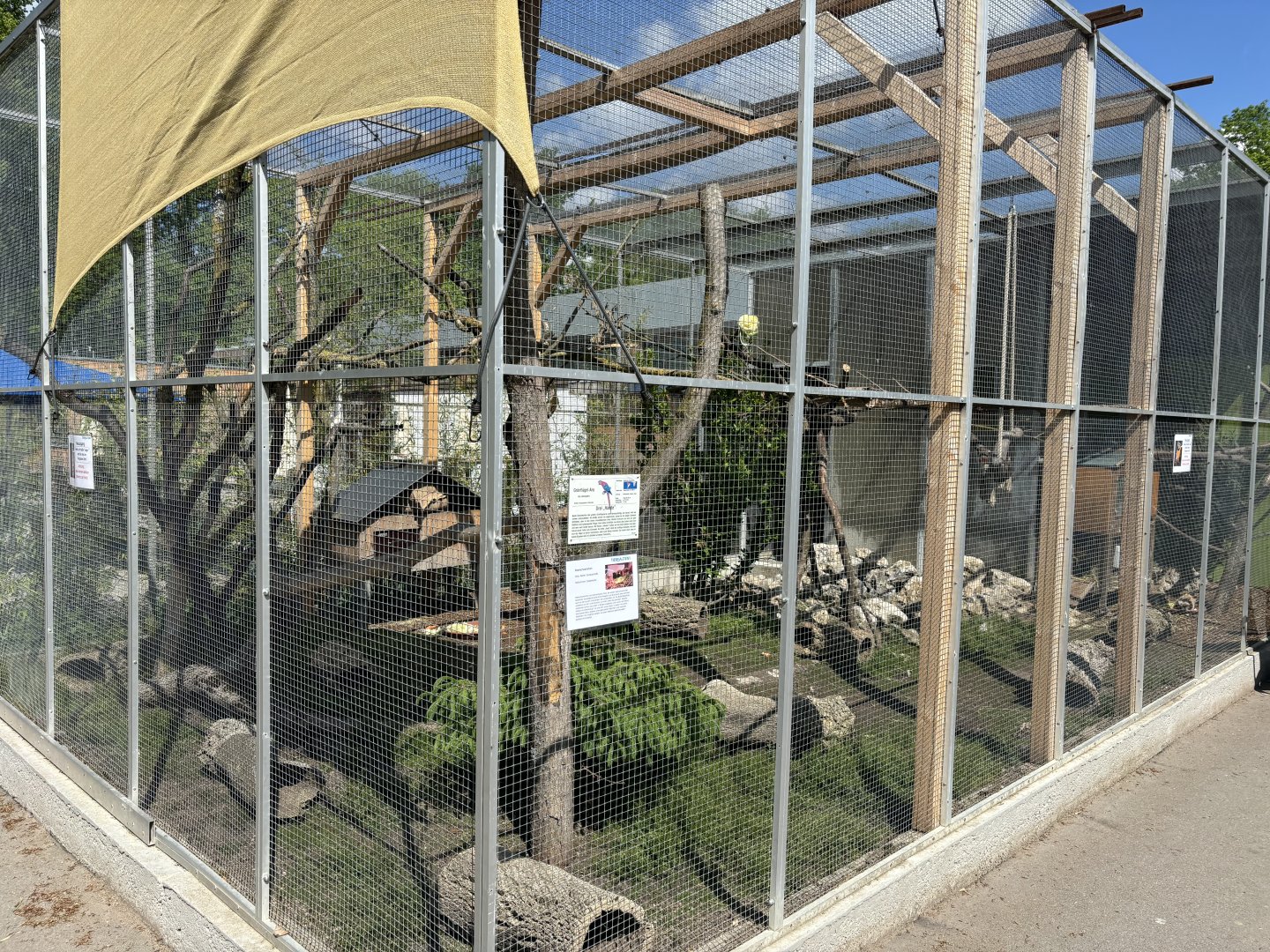 Macaw and Guinea pig enclosure