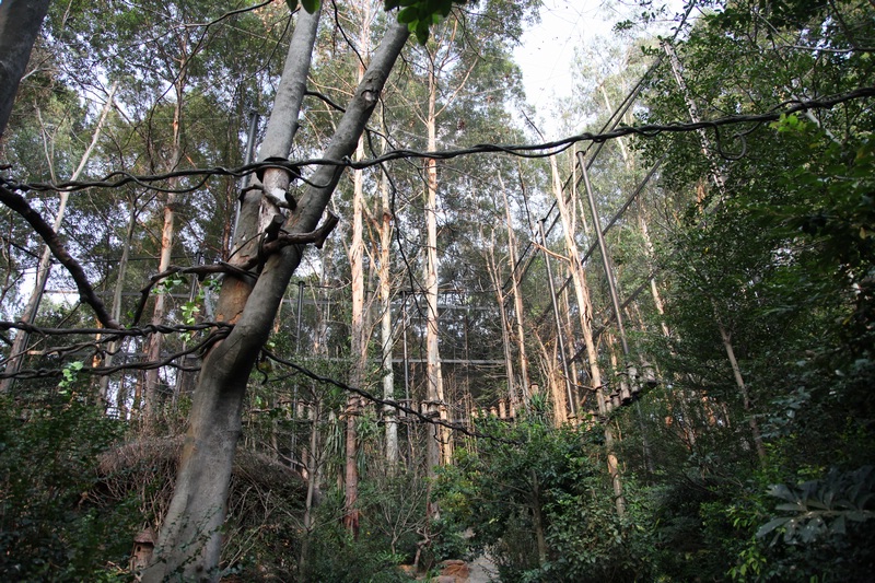 Macaw and parrot exhibit