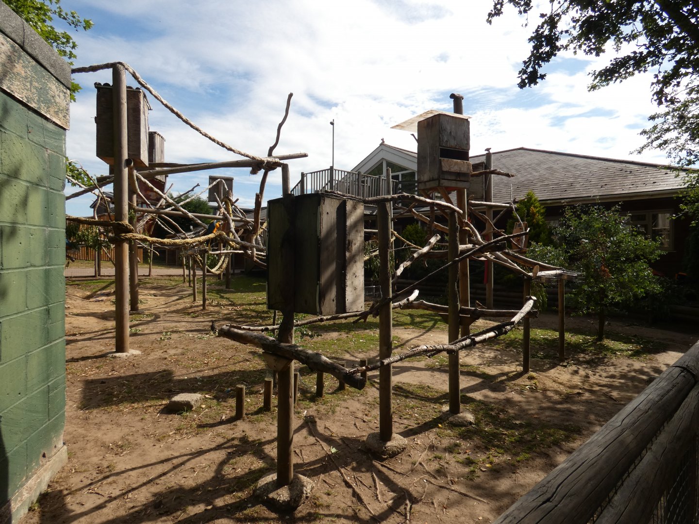 Macaw and Spurred Tortoise enclosure