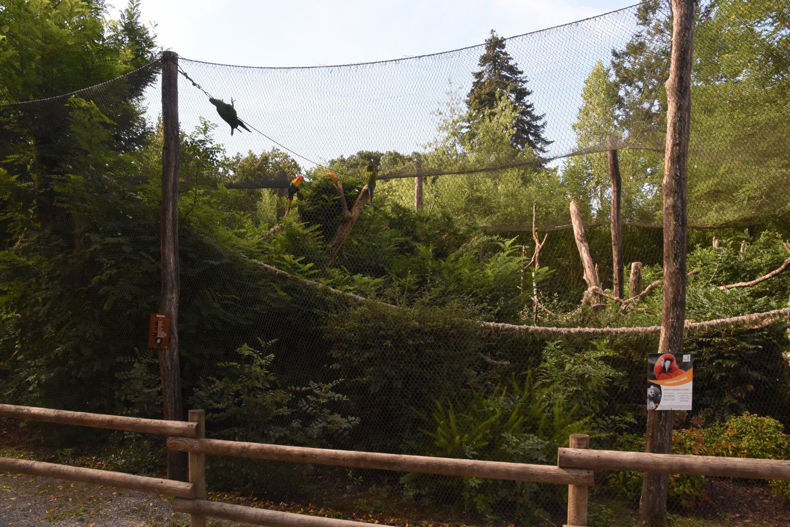 Macaw and Squirrel Monkey aviary