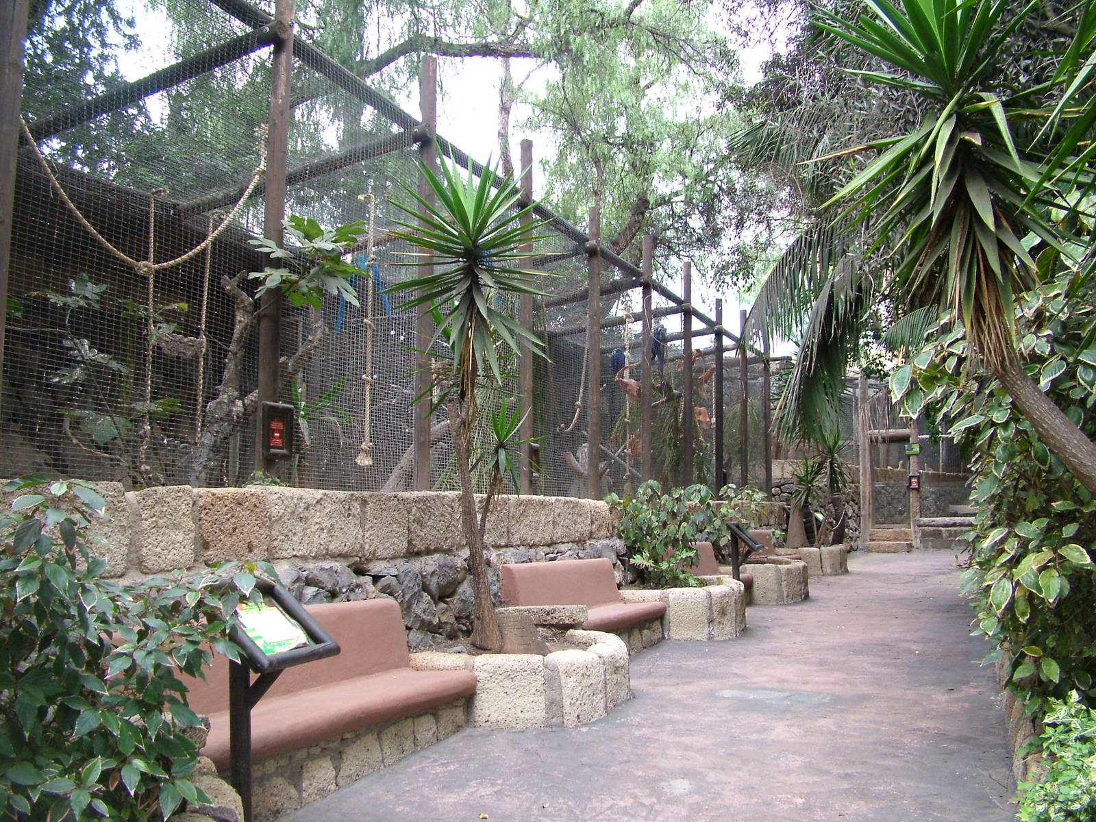 Macaw Aviaries at Jungle Park (Las Aguilas), 13/11/10