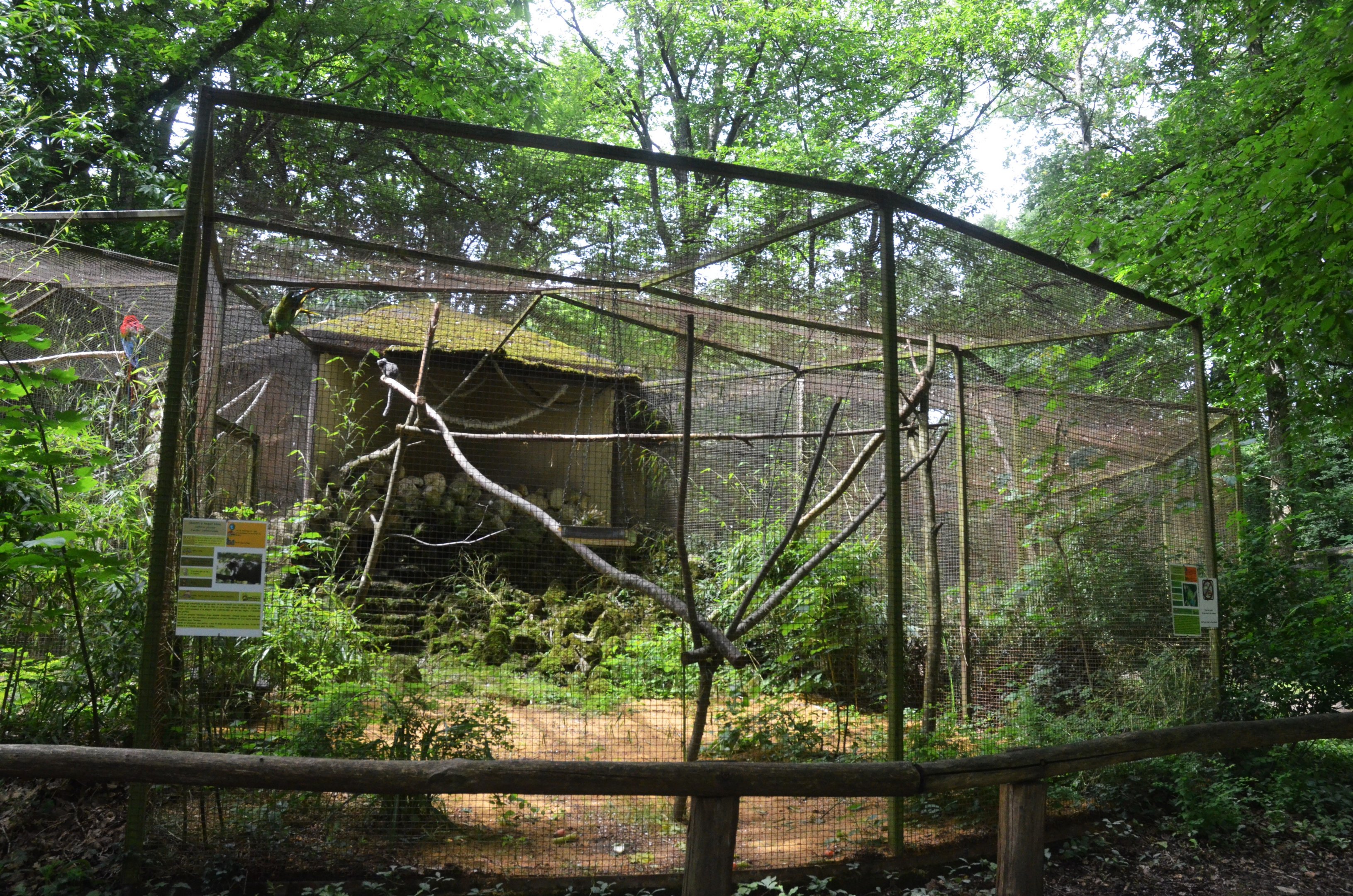 Macaw Aviaries at Pescheray, 13/06/18