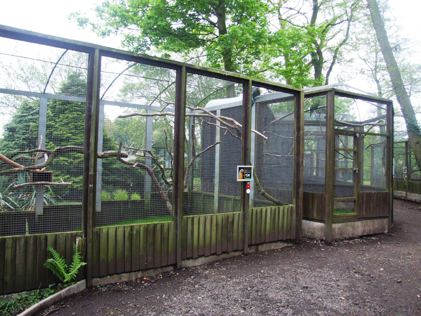 Macaw Aviaries at Tropical Birdland, 18/05/13