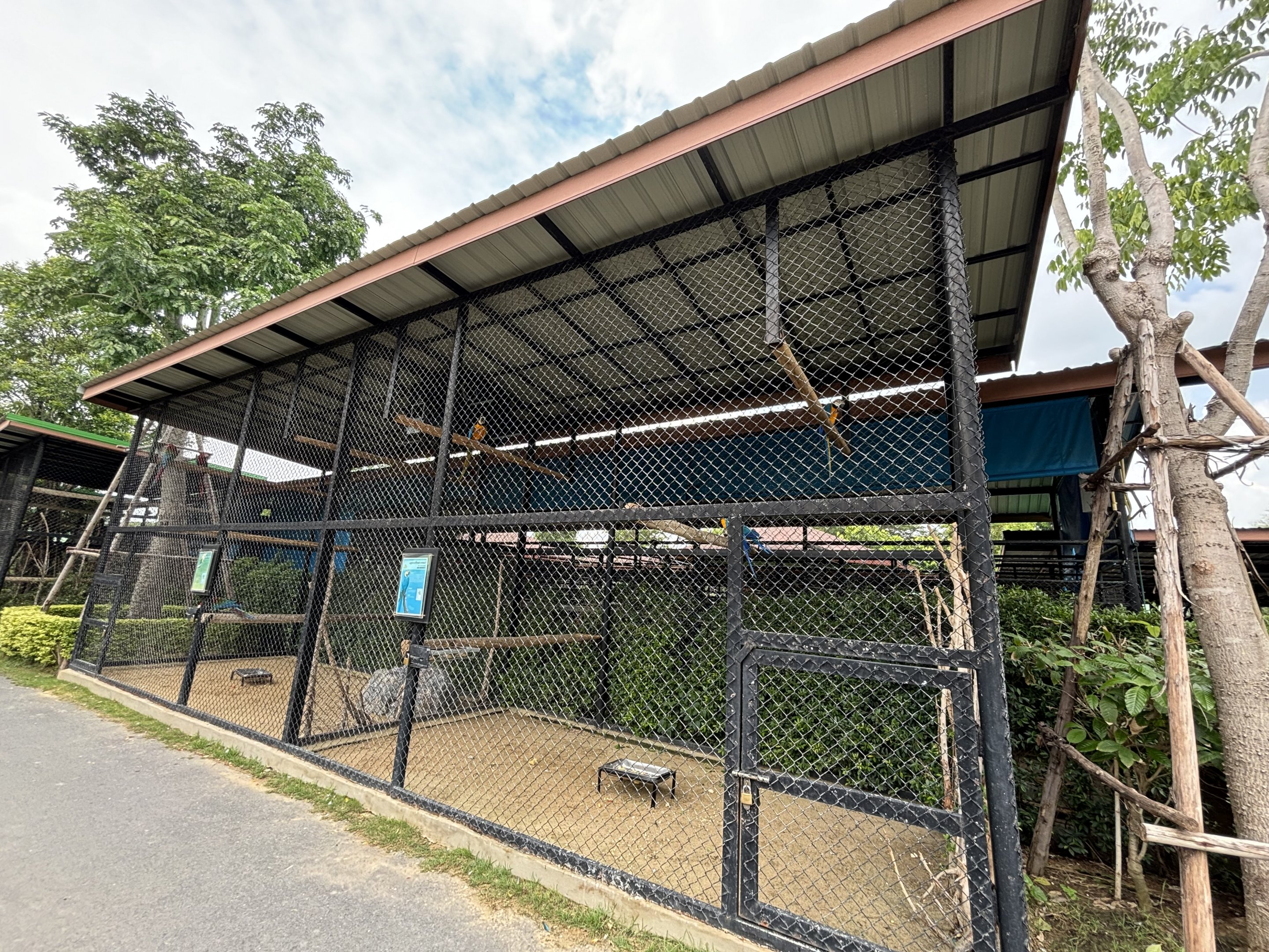 Macaw Aviaries - Lion Park