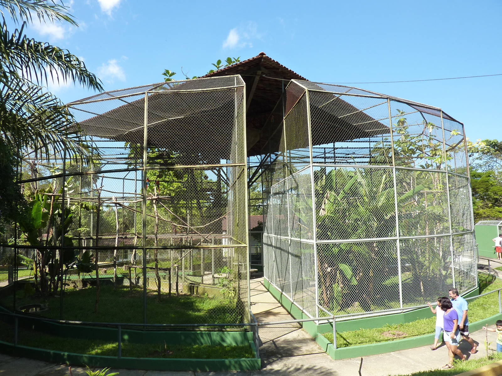 Macaw aviaries