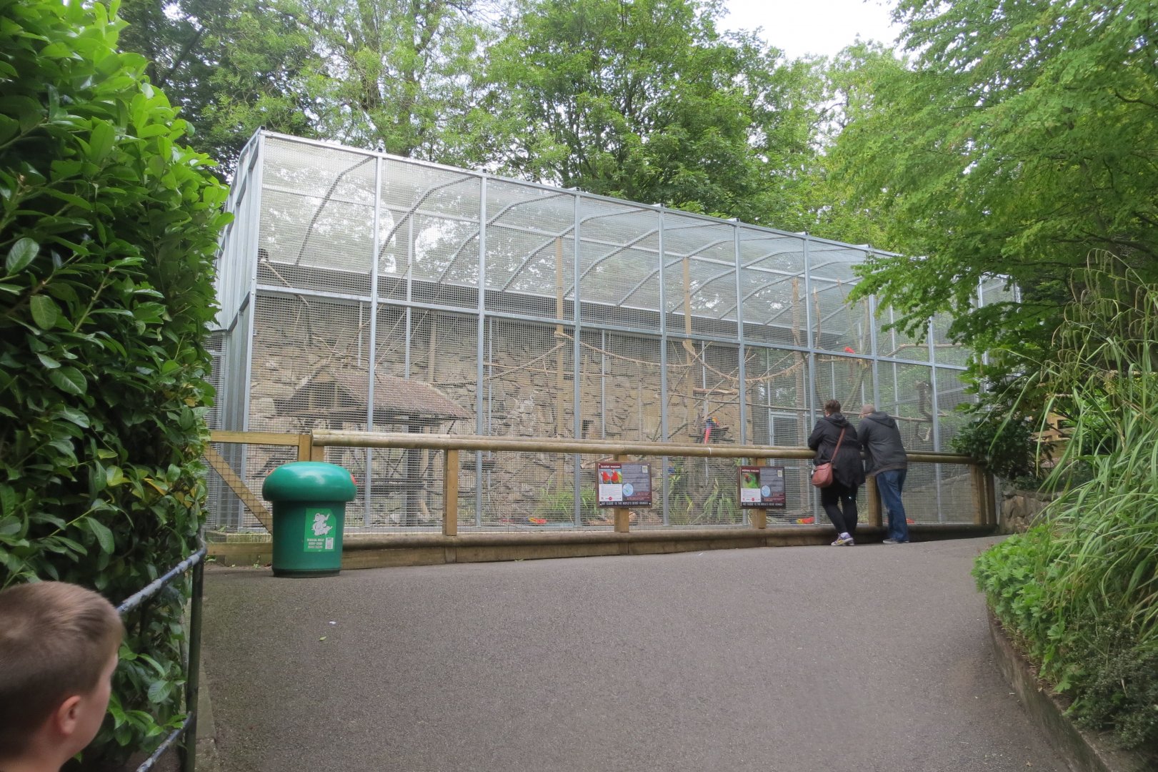 Macaw aviary 230619