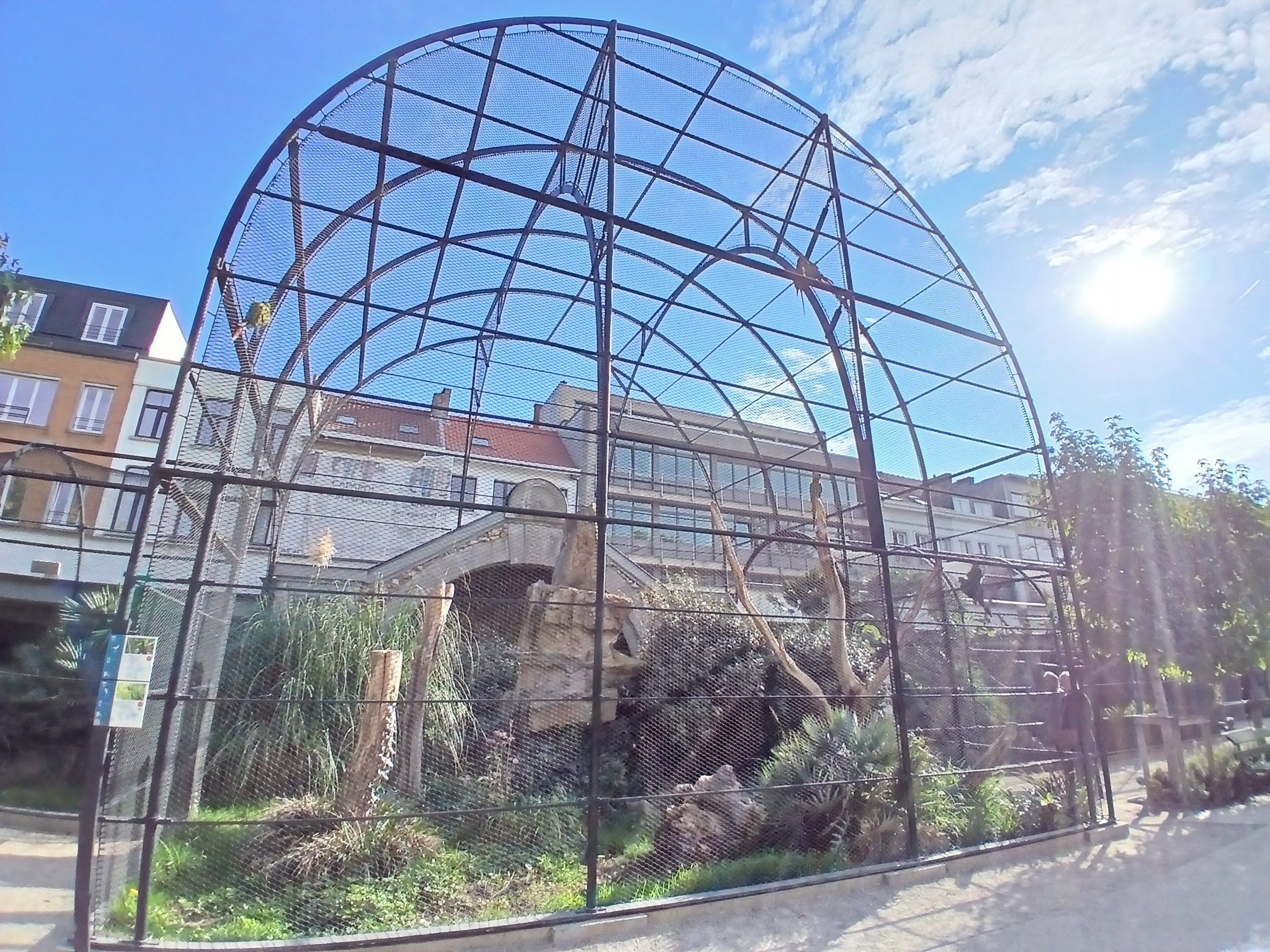 Macaw aviary (30th September 2025)
