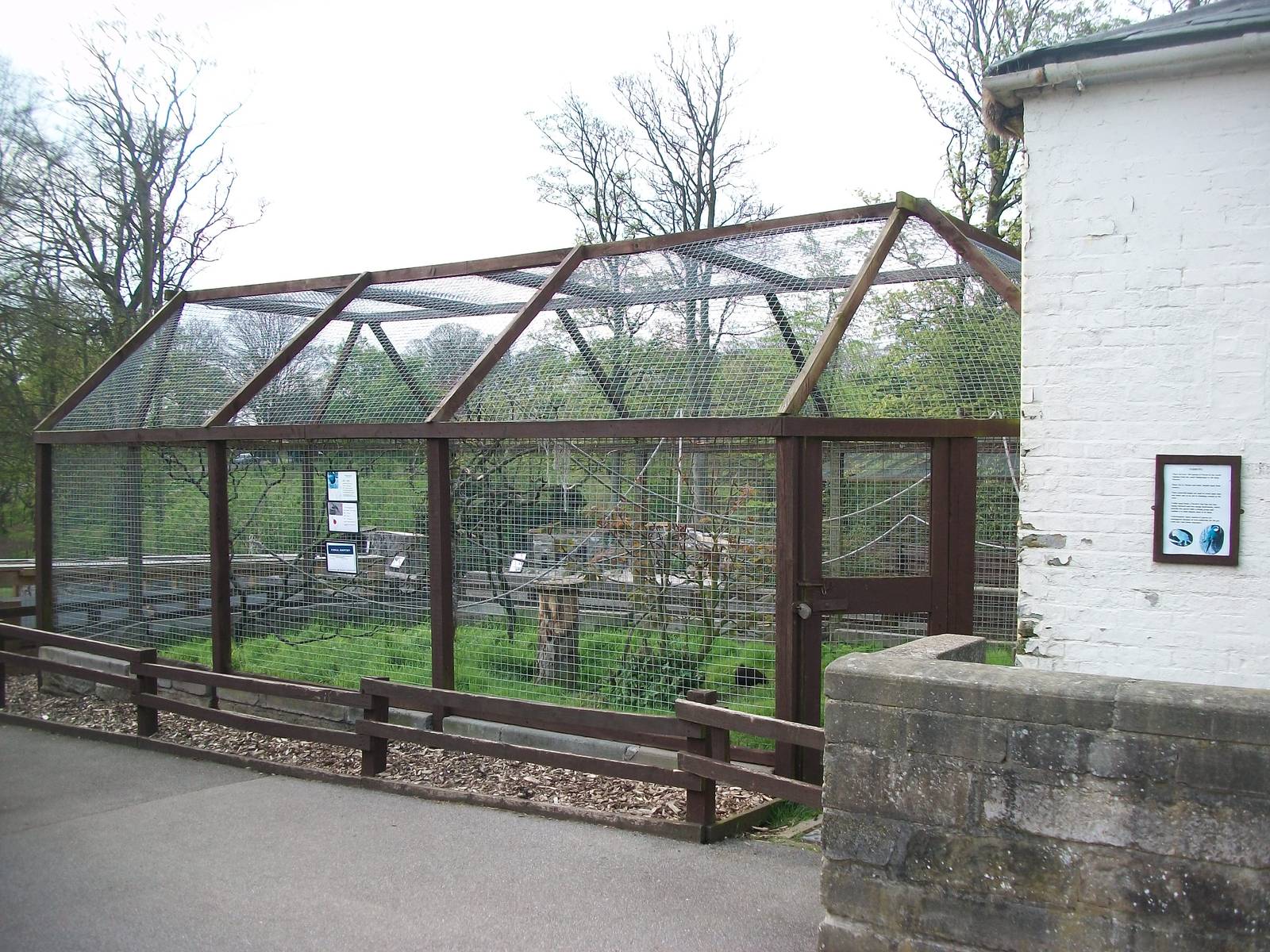Macaw aviary, 4th May 2014