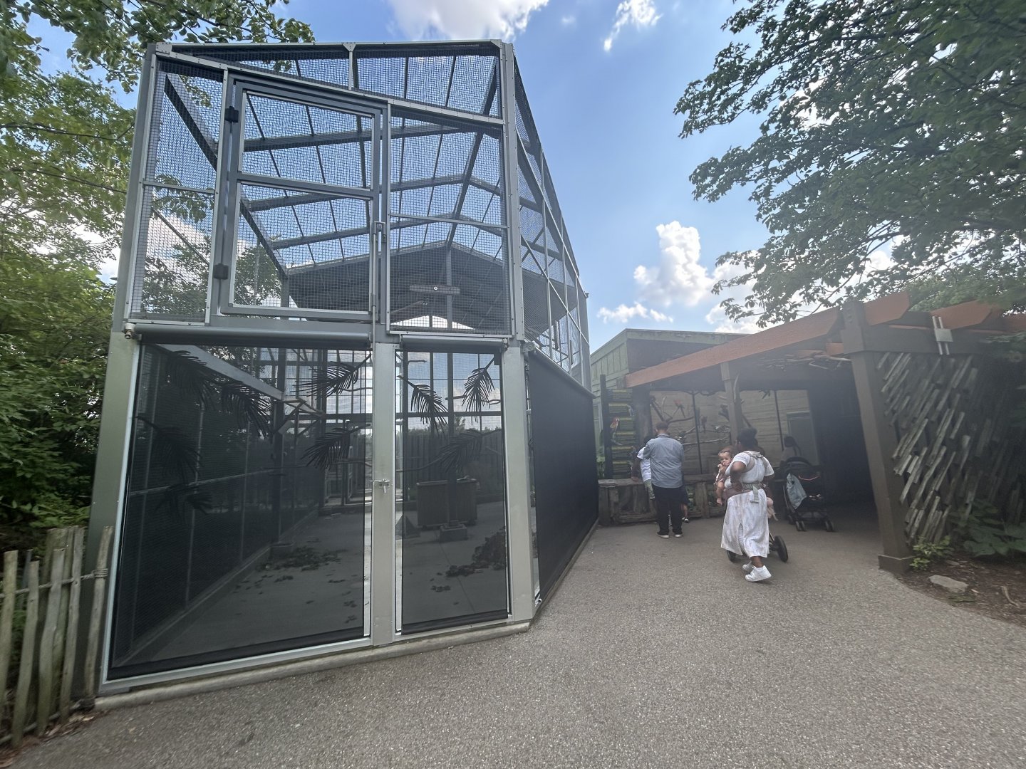 Macaw Aviary (6 Species) - Forests