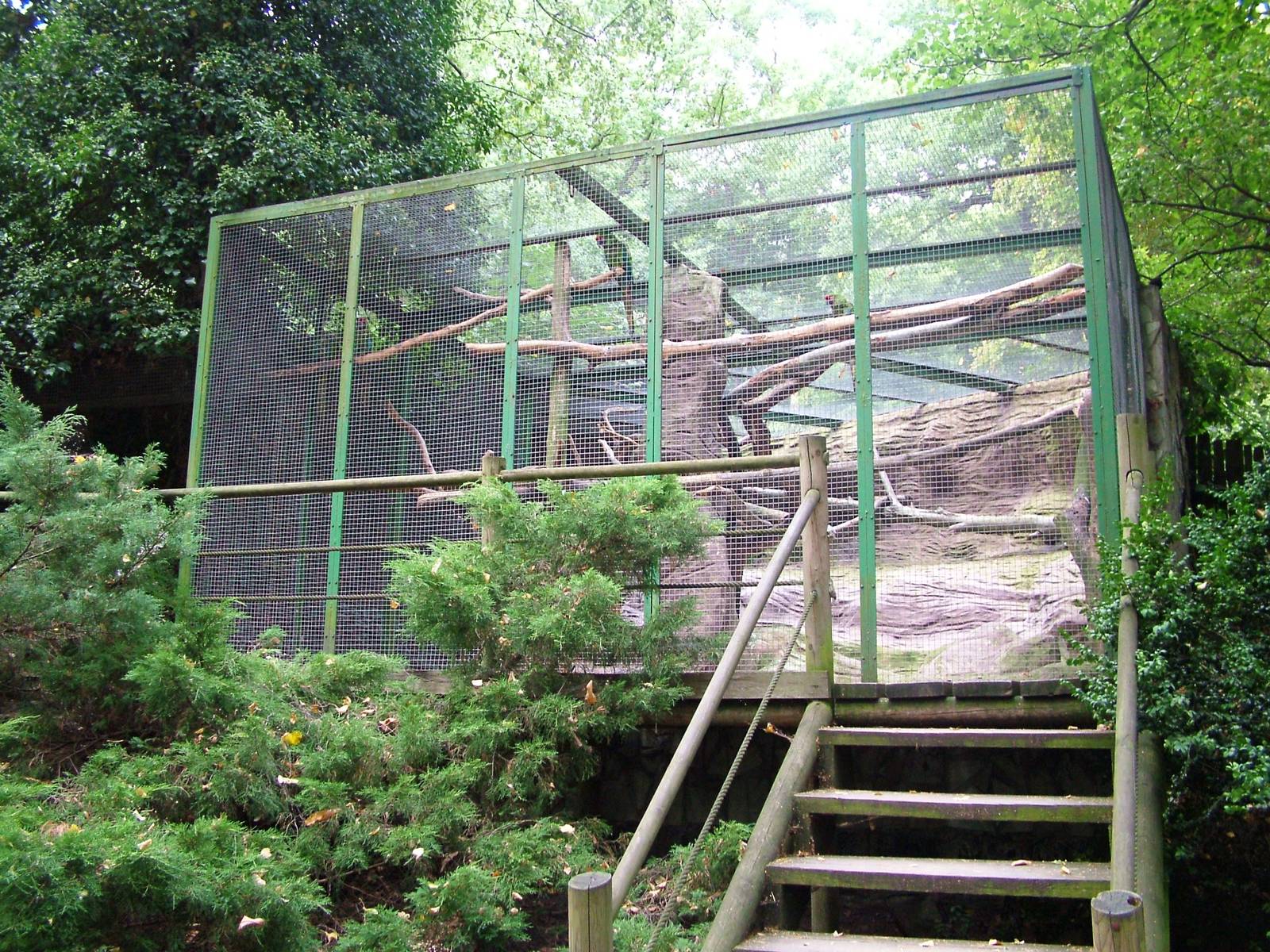 Macaw Aviary at Decin, 28/08/12