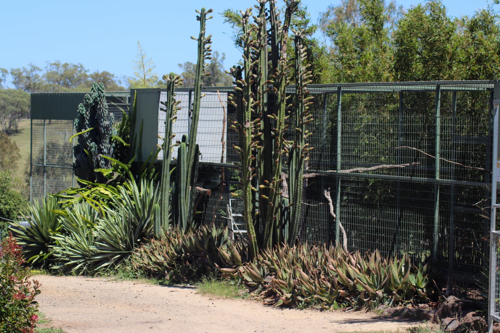 Macaw Aviary - December 2018