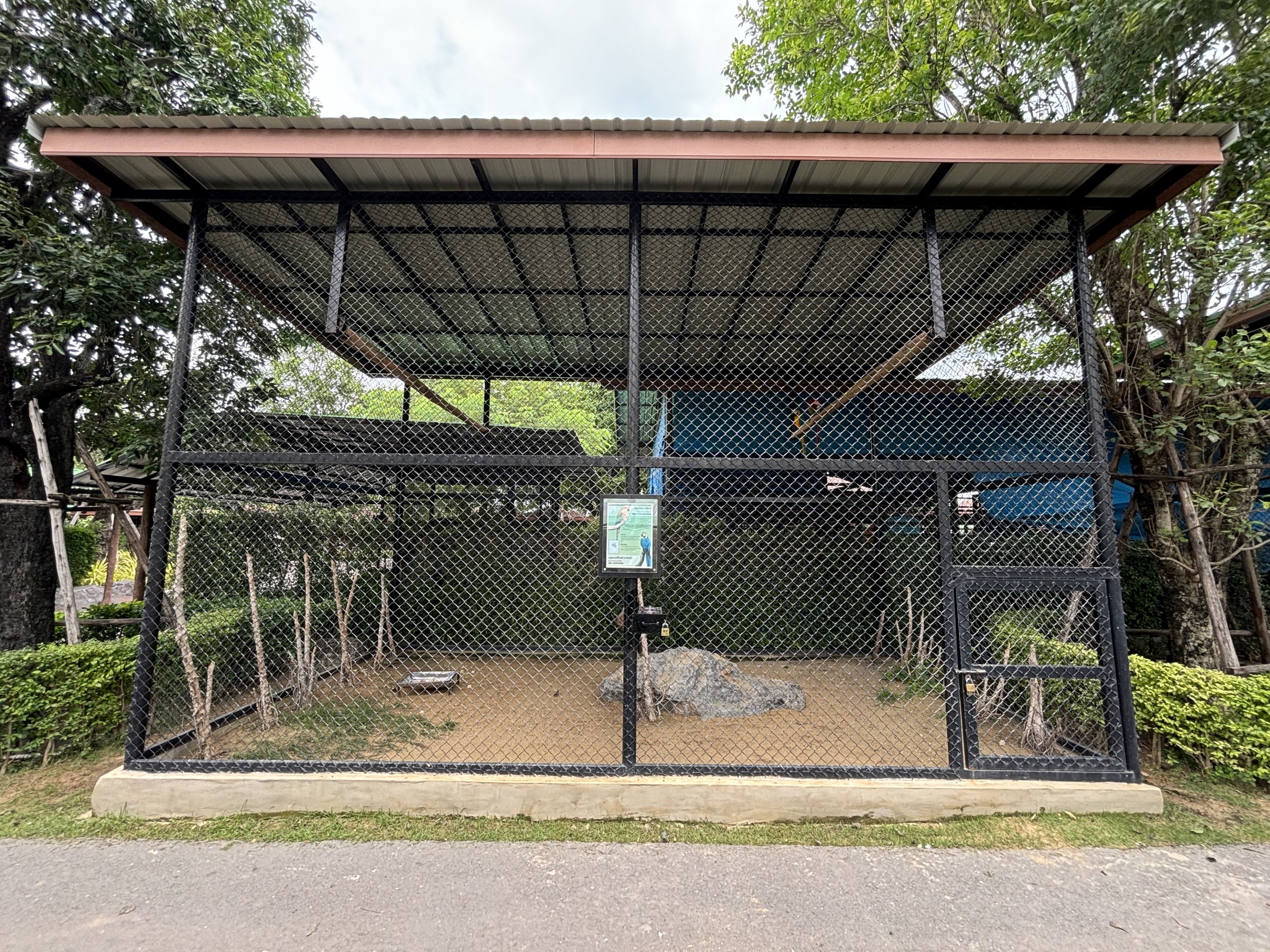 Macaw Aviary - Lion Park