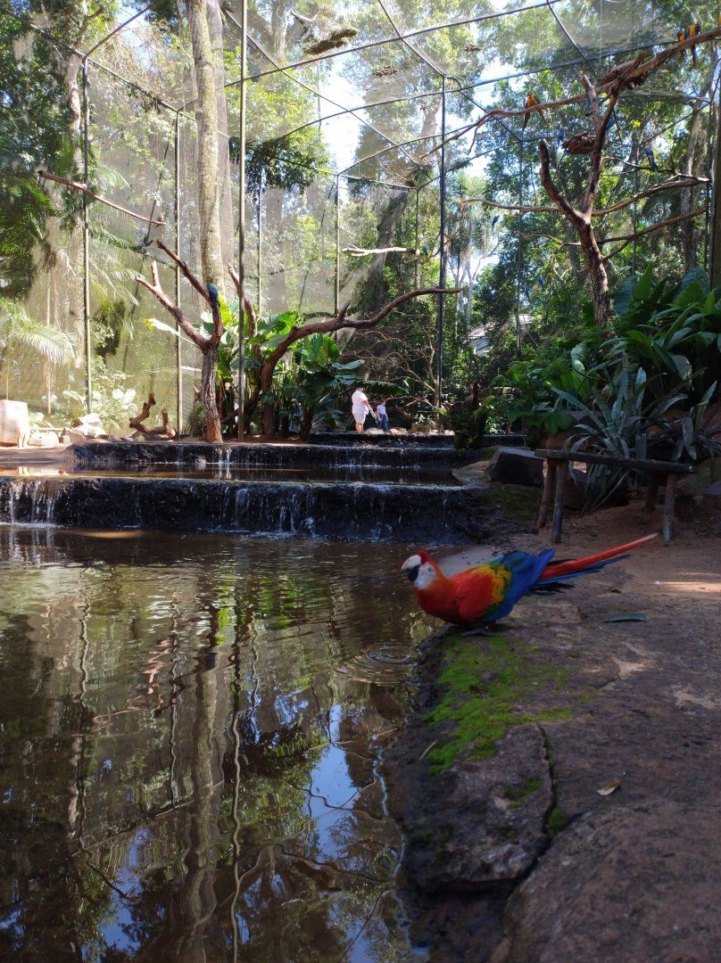Macaw aviary - Parque das Aves