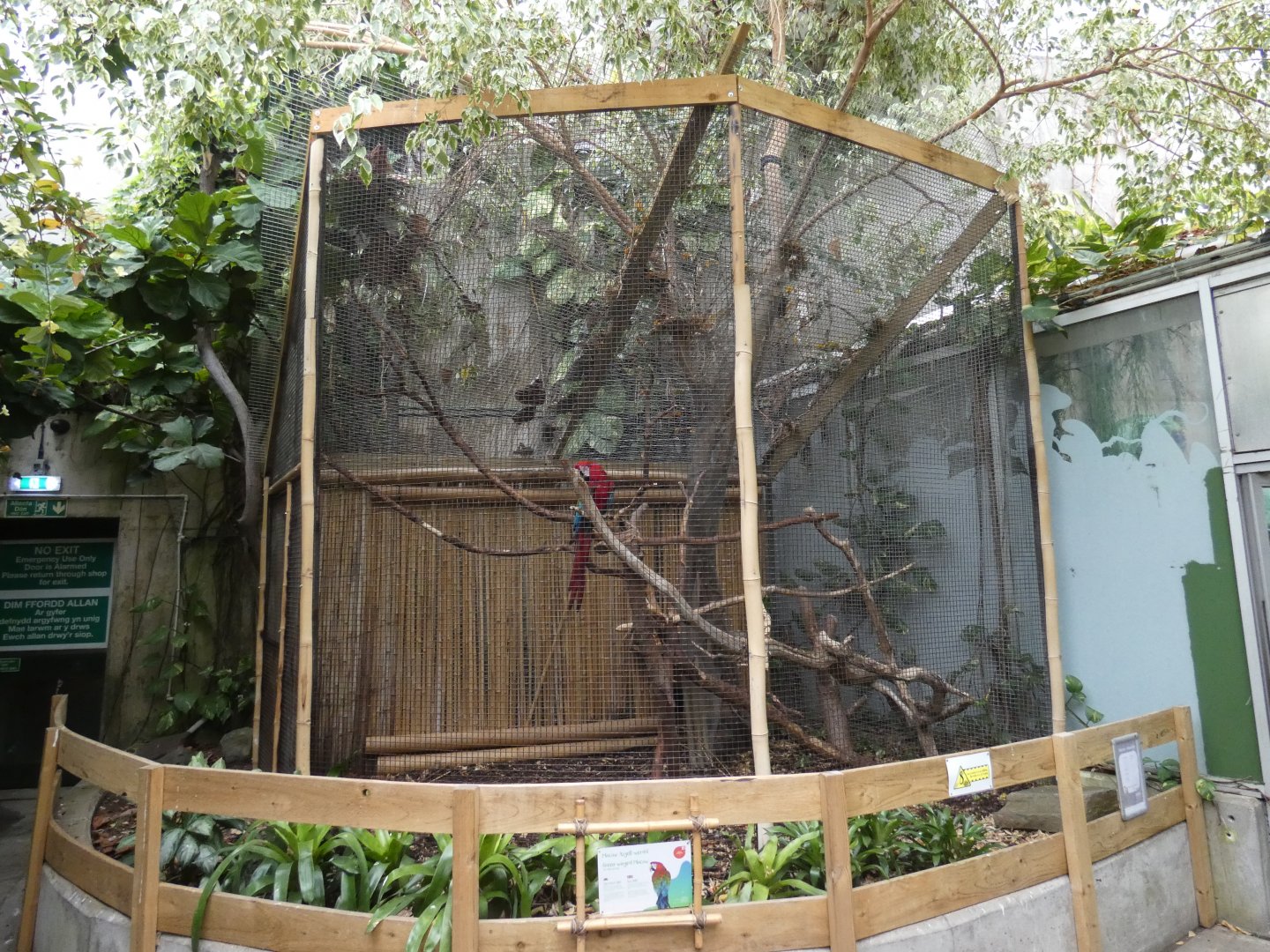 Macaw aviary (Plantasia Swansea)