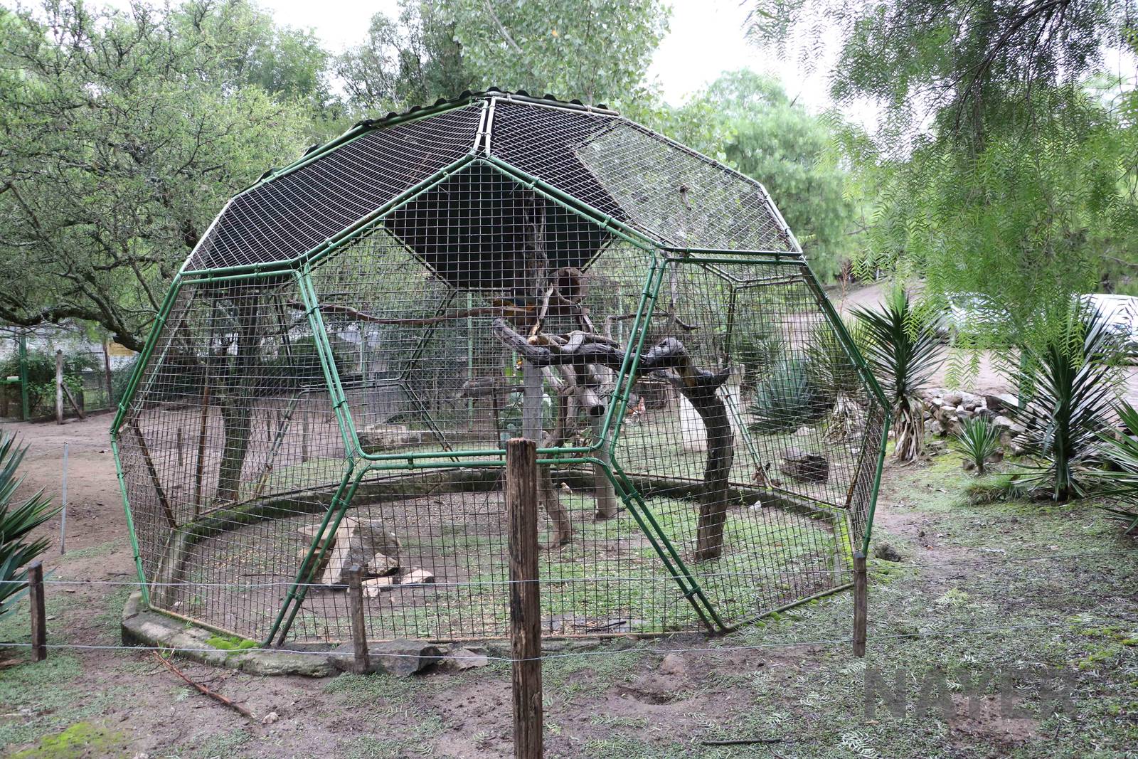 Macaw aviary - Tatu Carreta, April 2016.