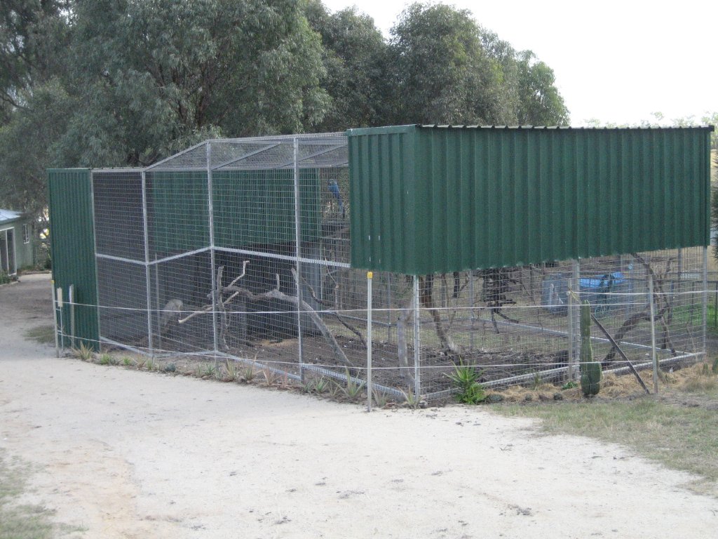 Macaw Aviary