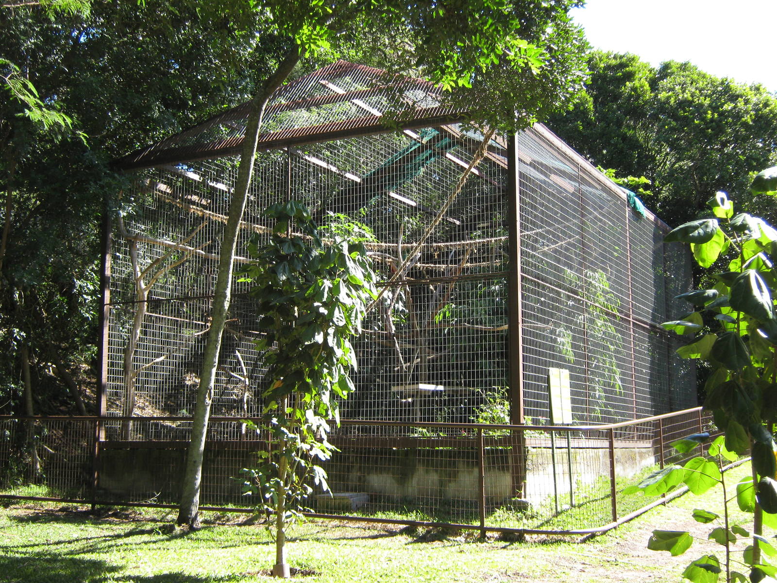 macaw aviary