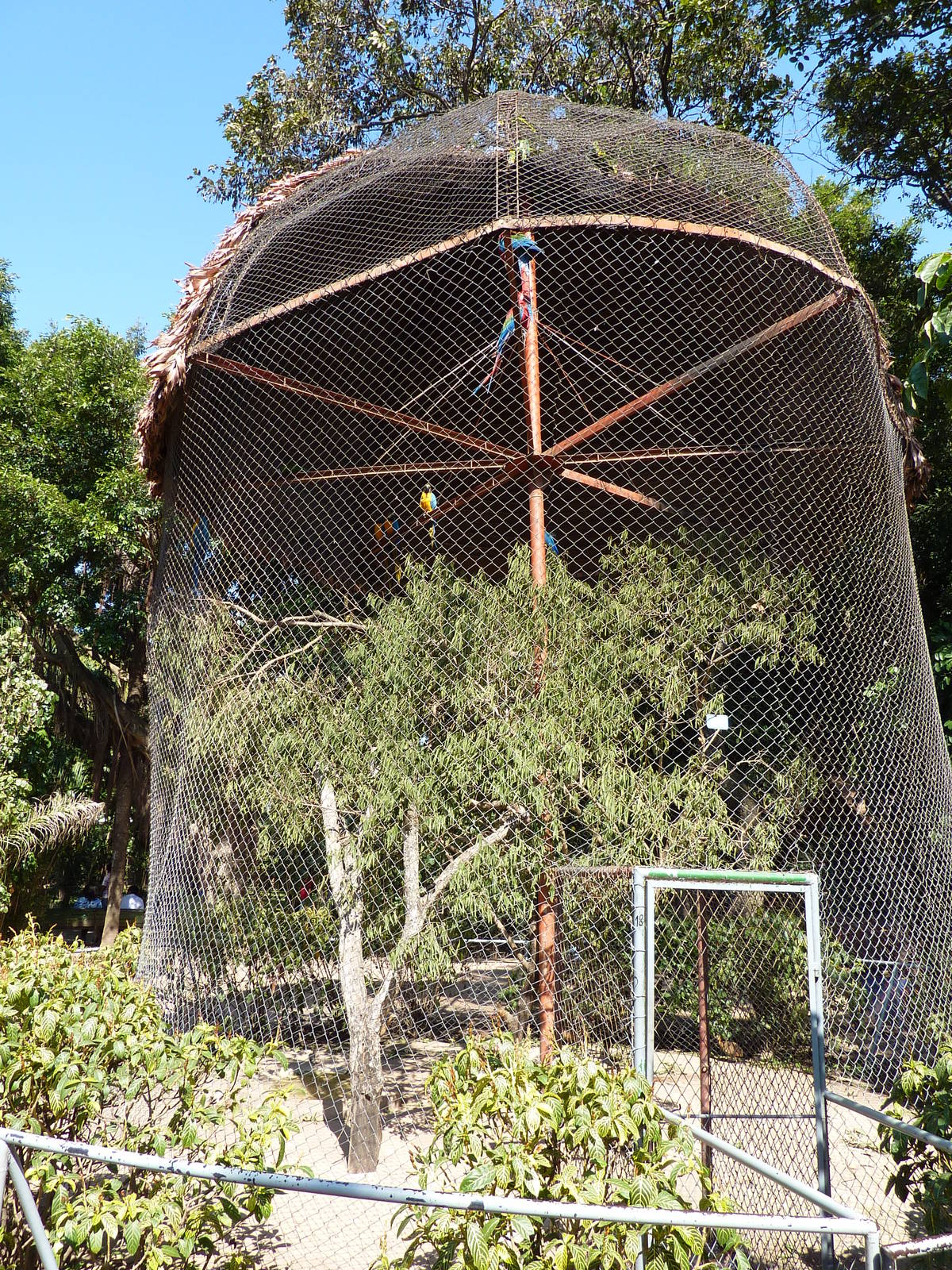 Macaw aviary