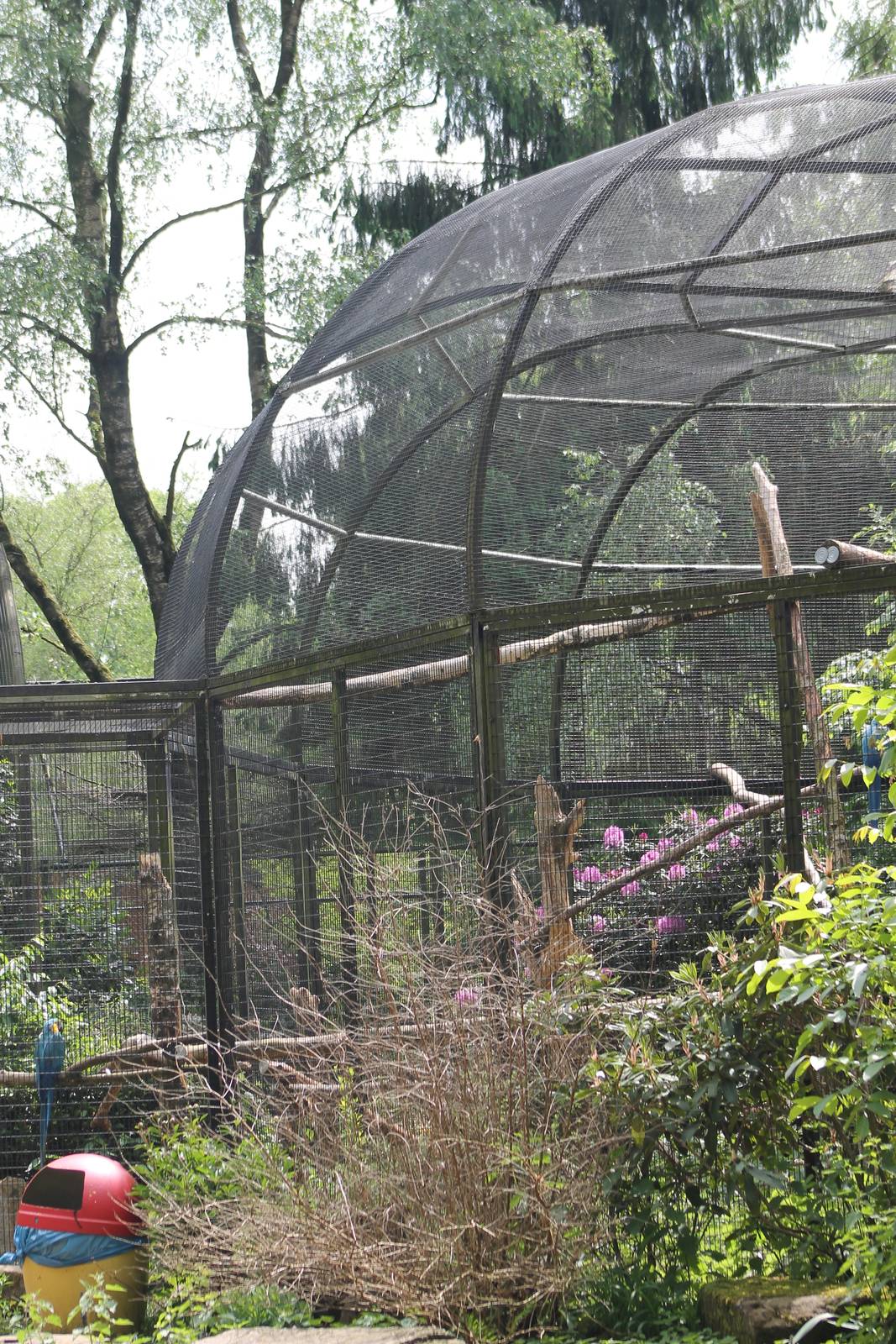 Macaw aviary