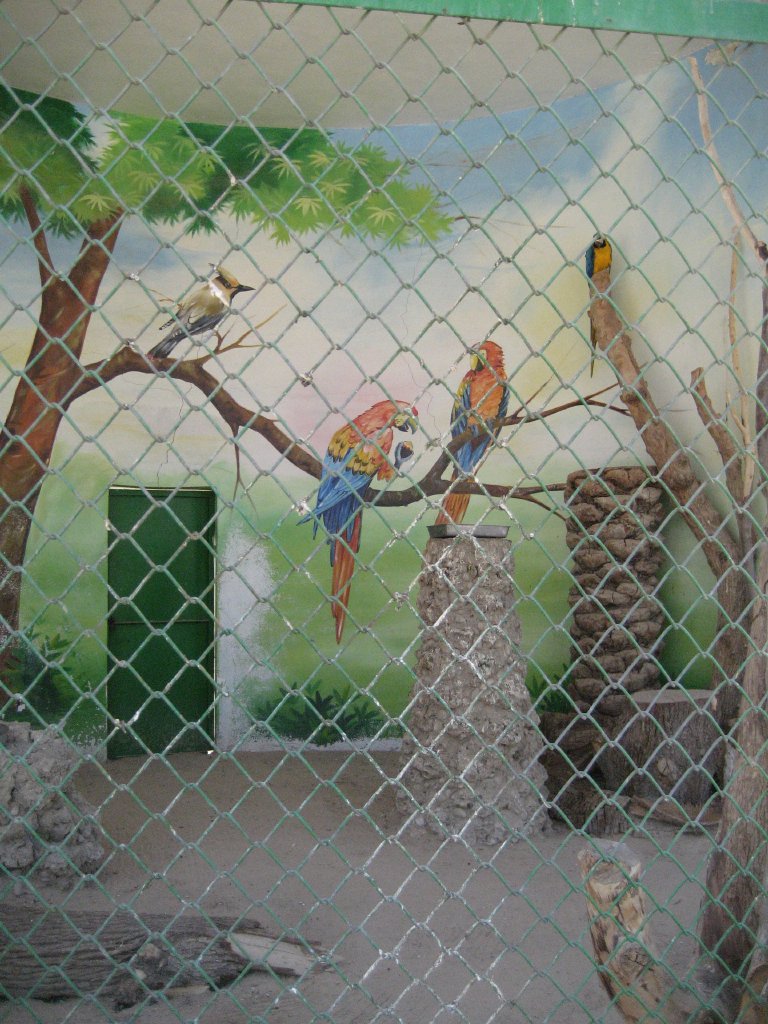 Macaw Aviary