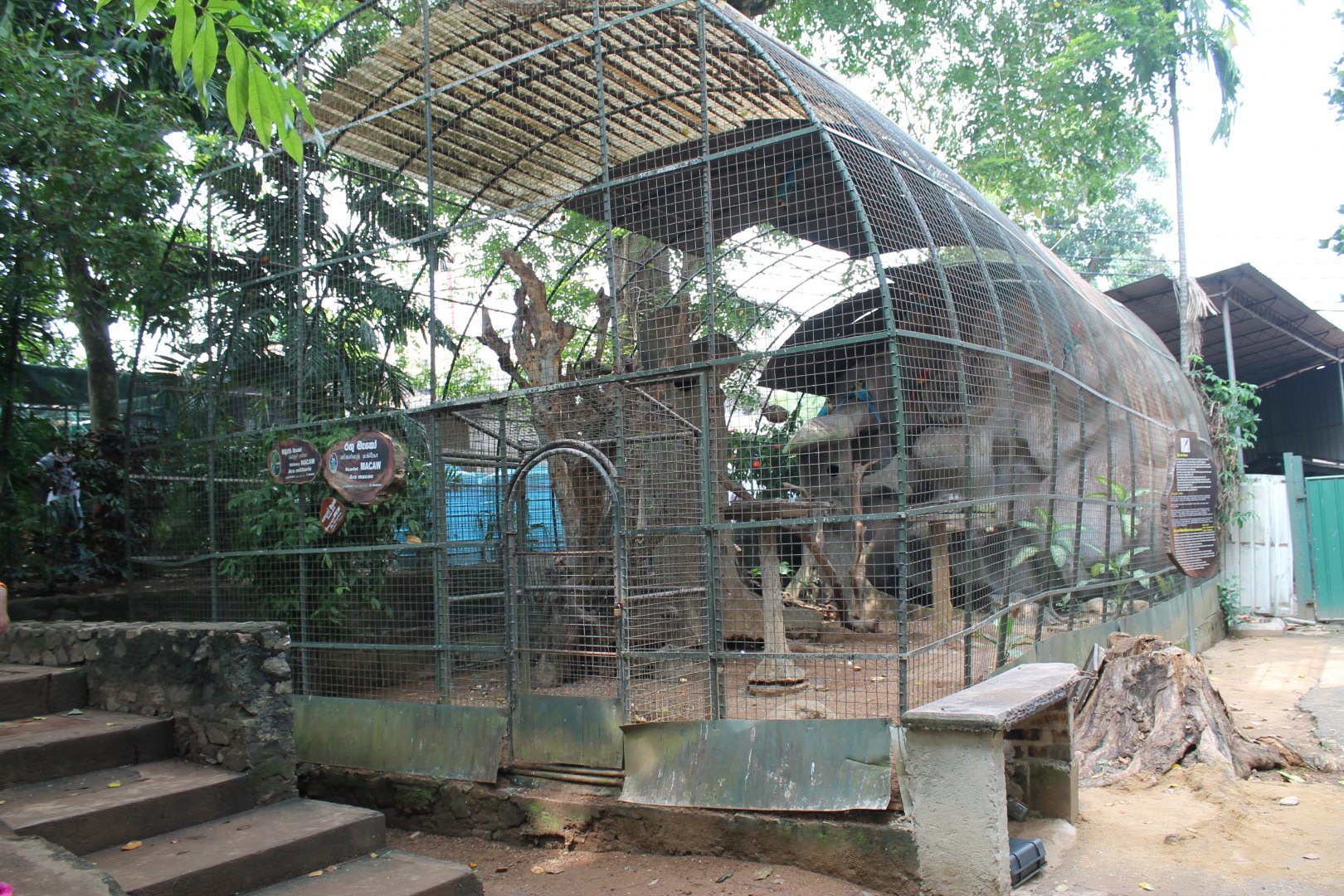 macaw aviary