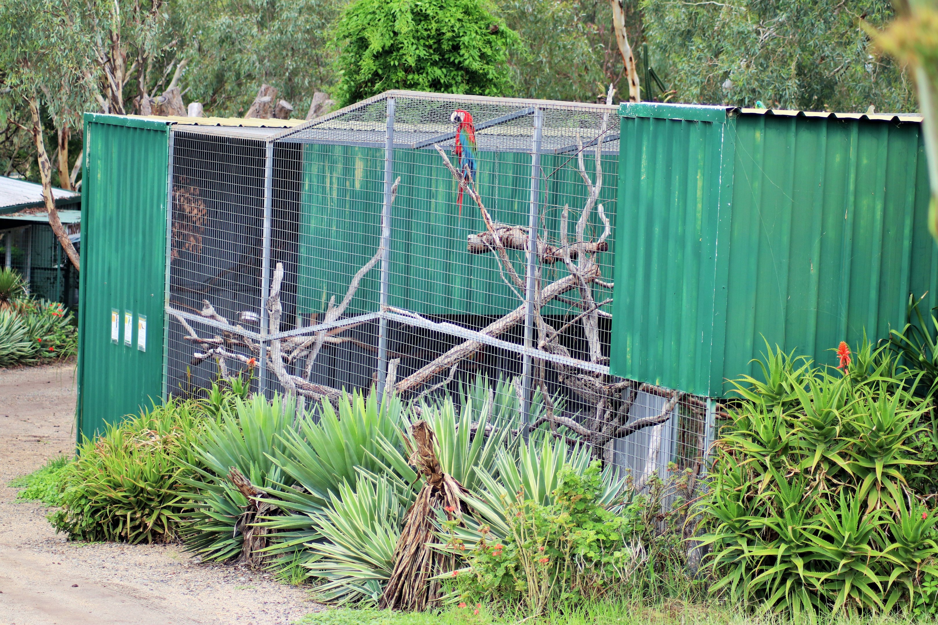 Macaw Aviary
