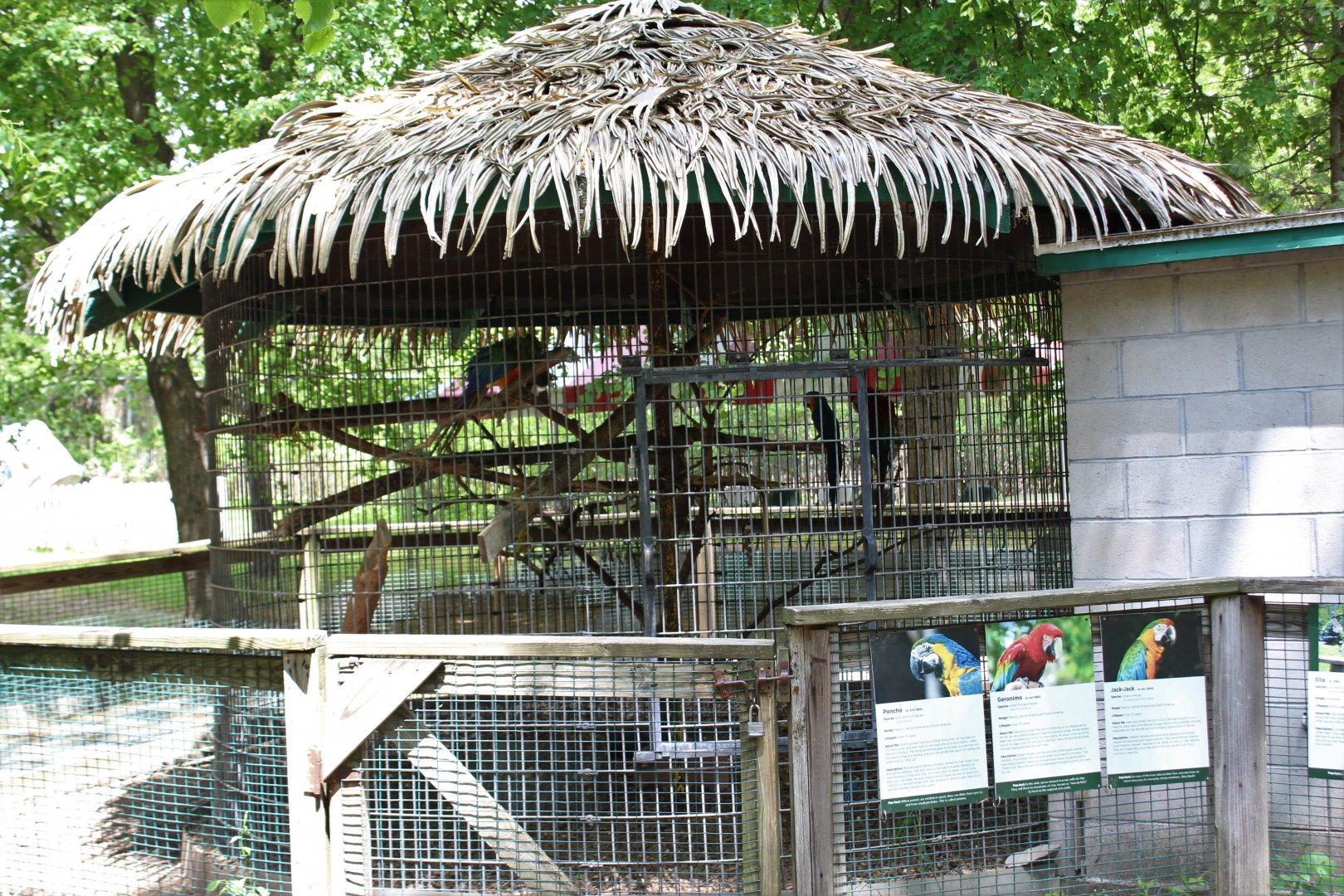 Macaw Aviary