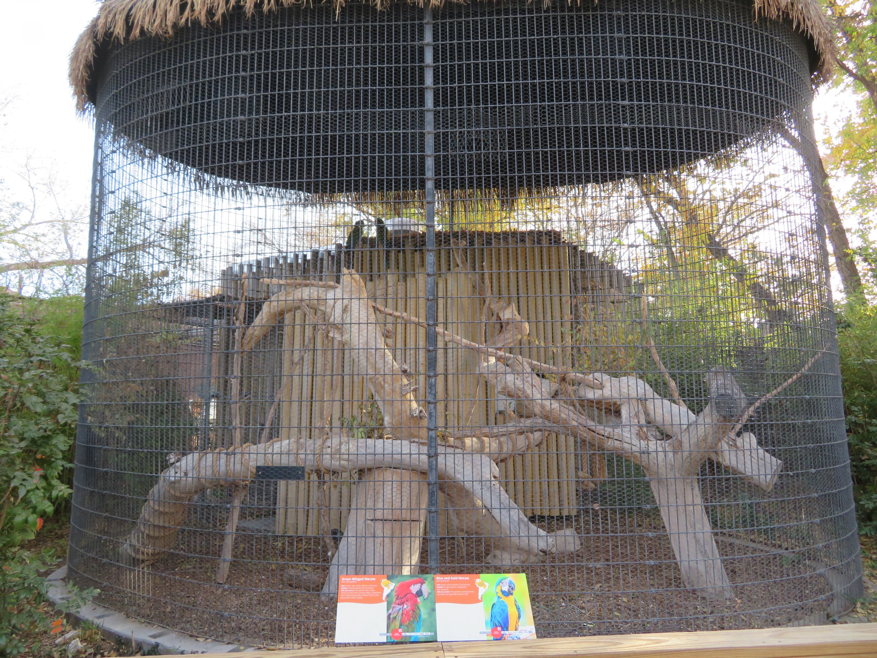 Macaw Aviary