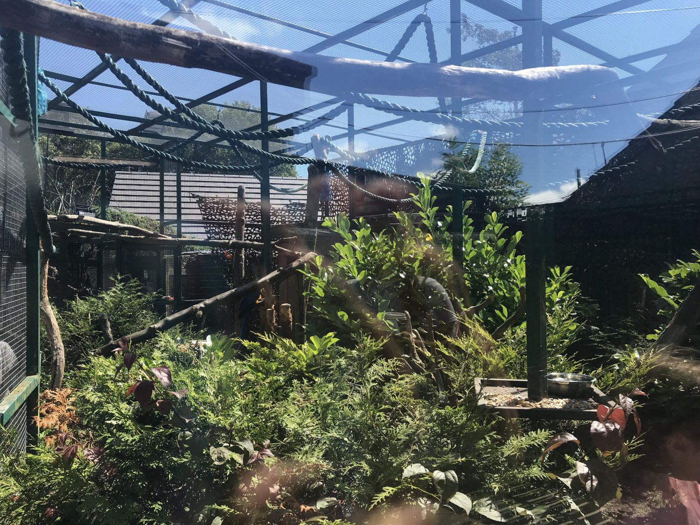 Macaw aviary