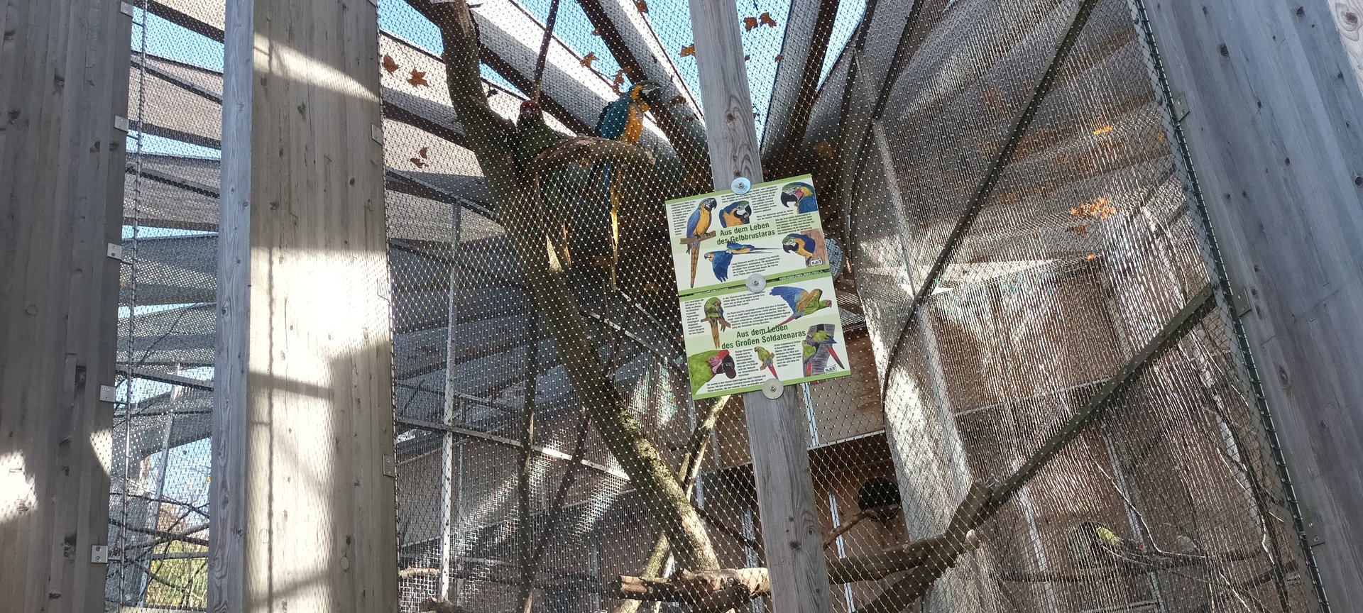 Macaw Aviary