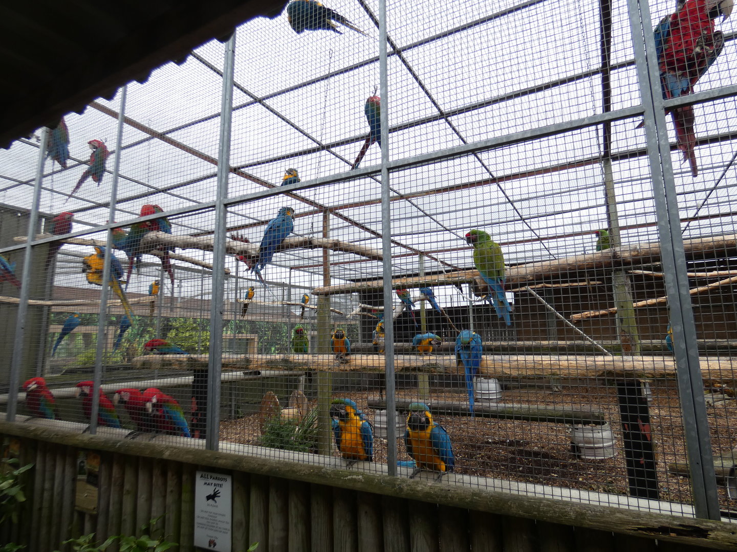 Macaw aviary