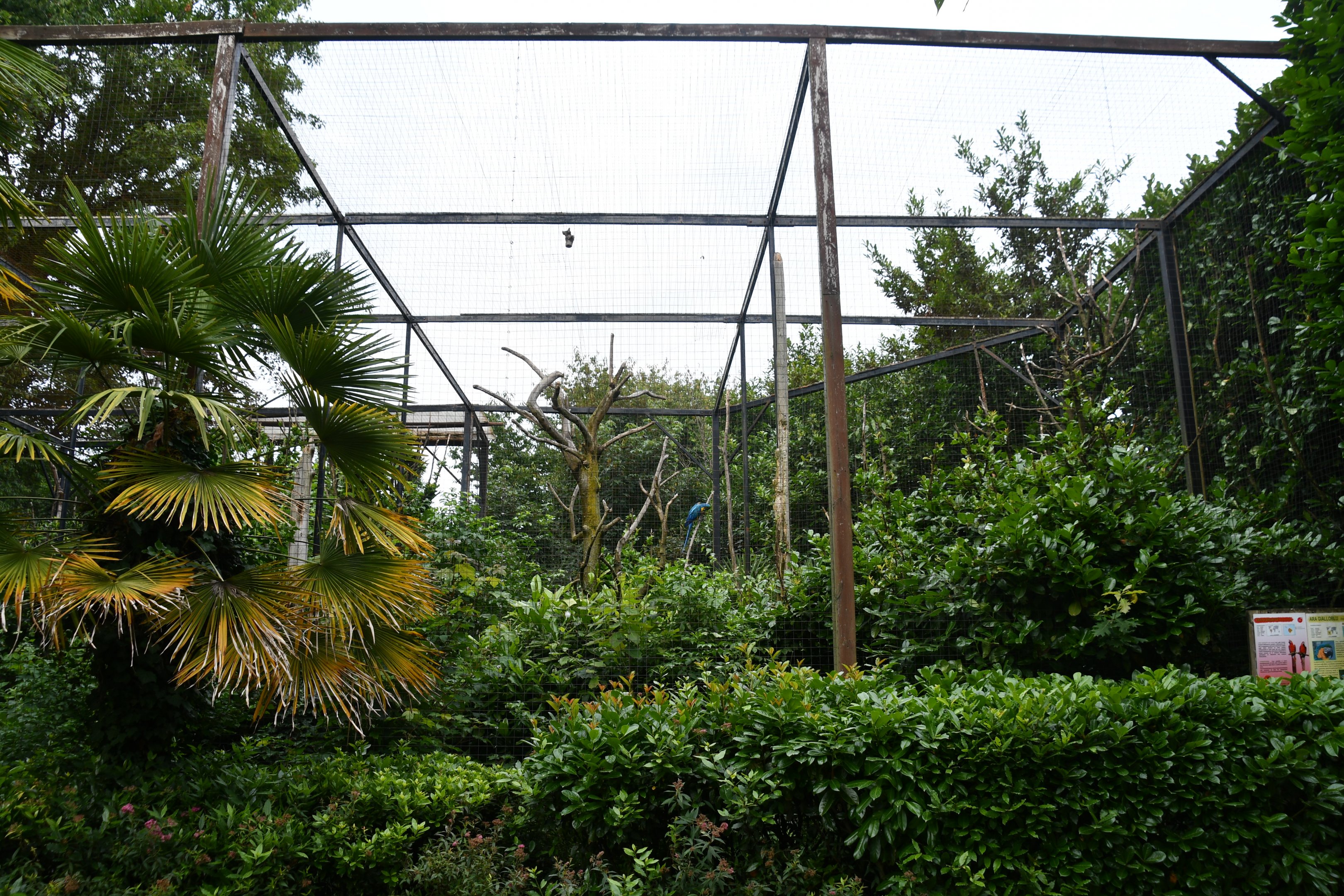 Macaw Aviary