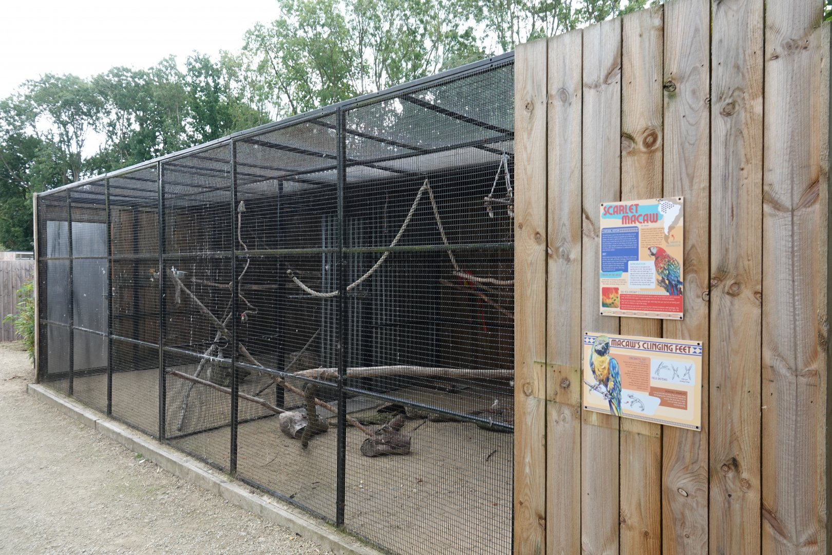 Macaw aviary