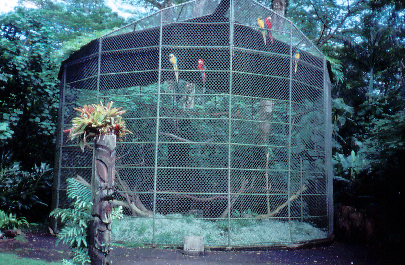 Macaw Cage - 1987