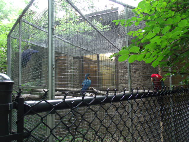 Macaw Cage