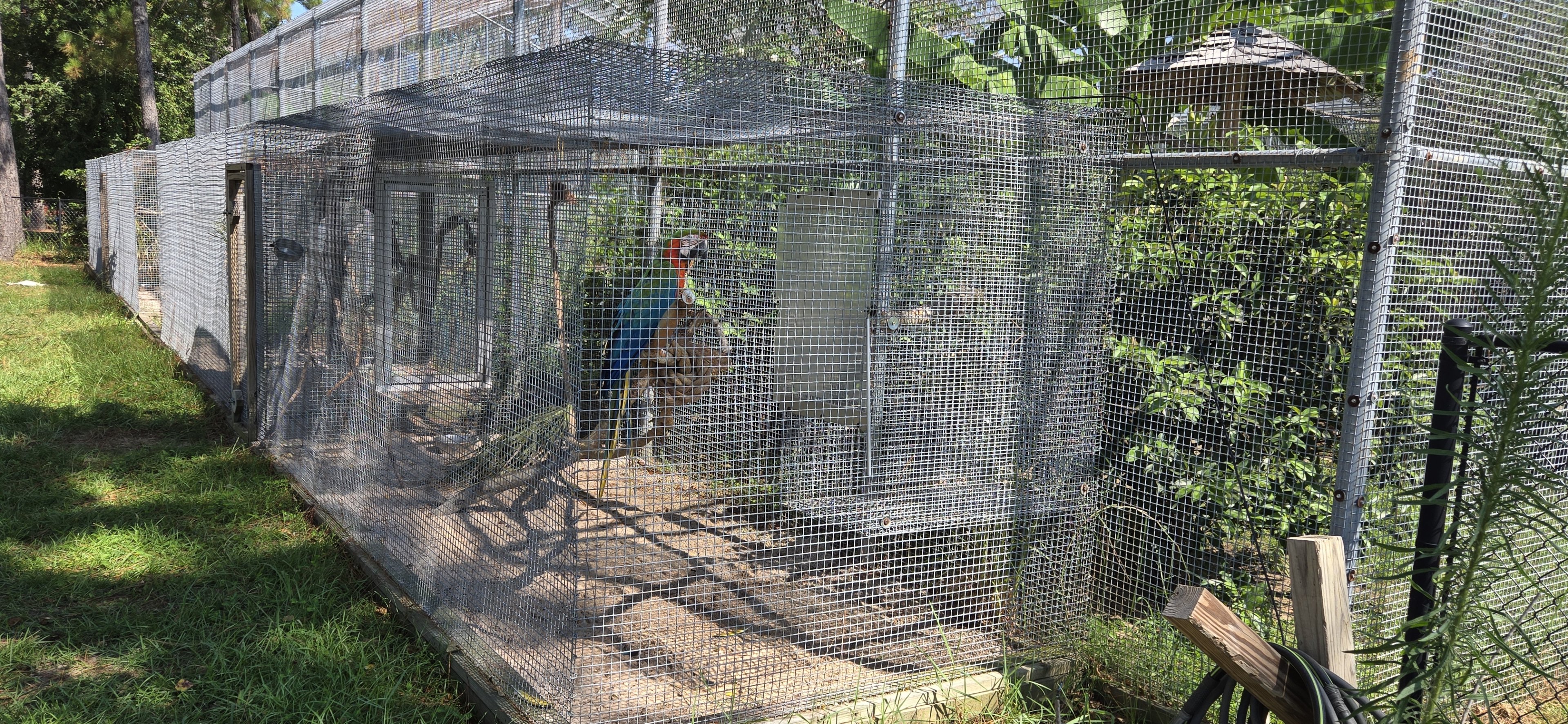 Macaw cages on exterior of walk through aviary