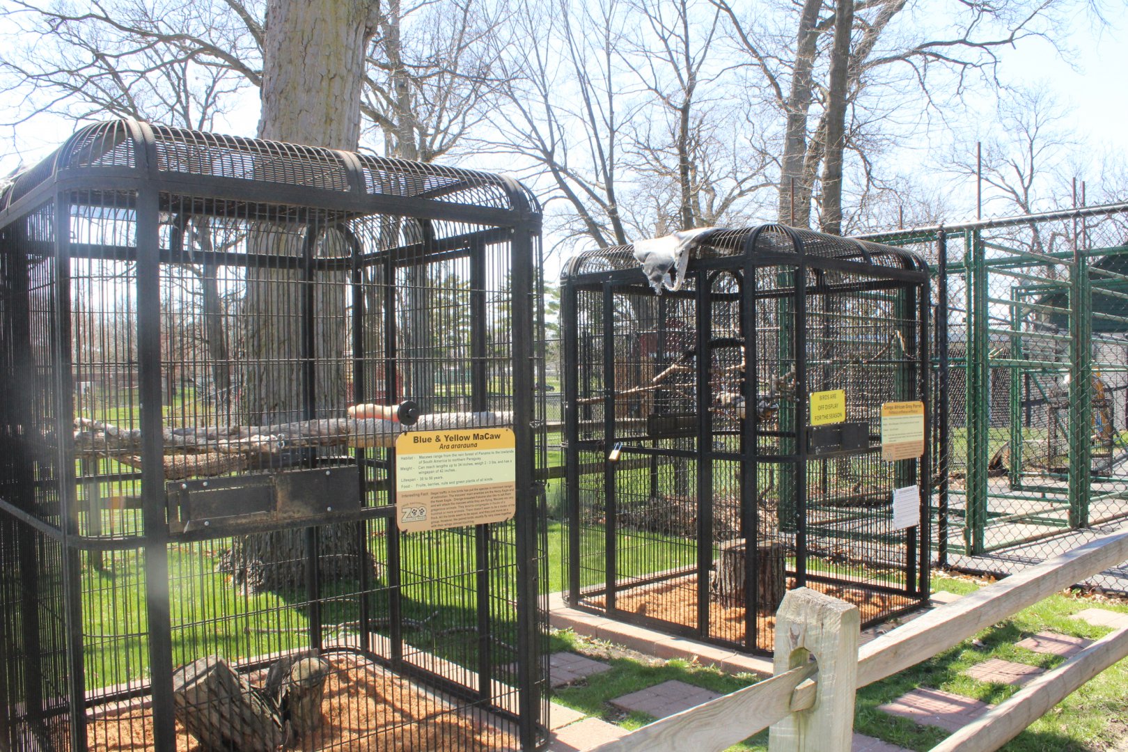 Macaw Cages (Thankfully Empty!)