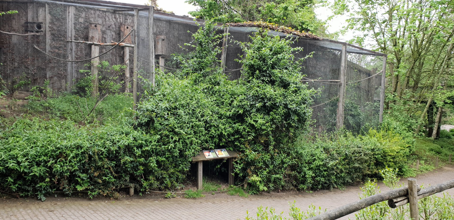 Macaw - Conure aviary