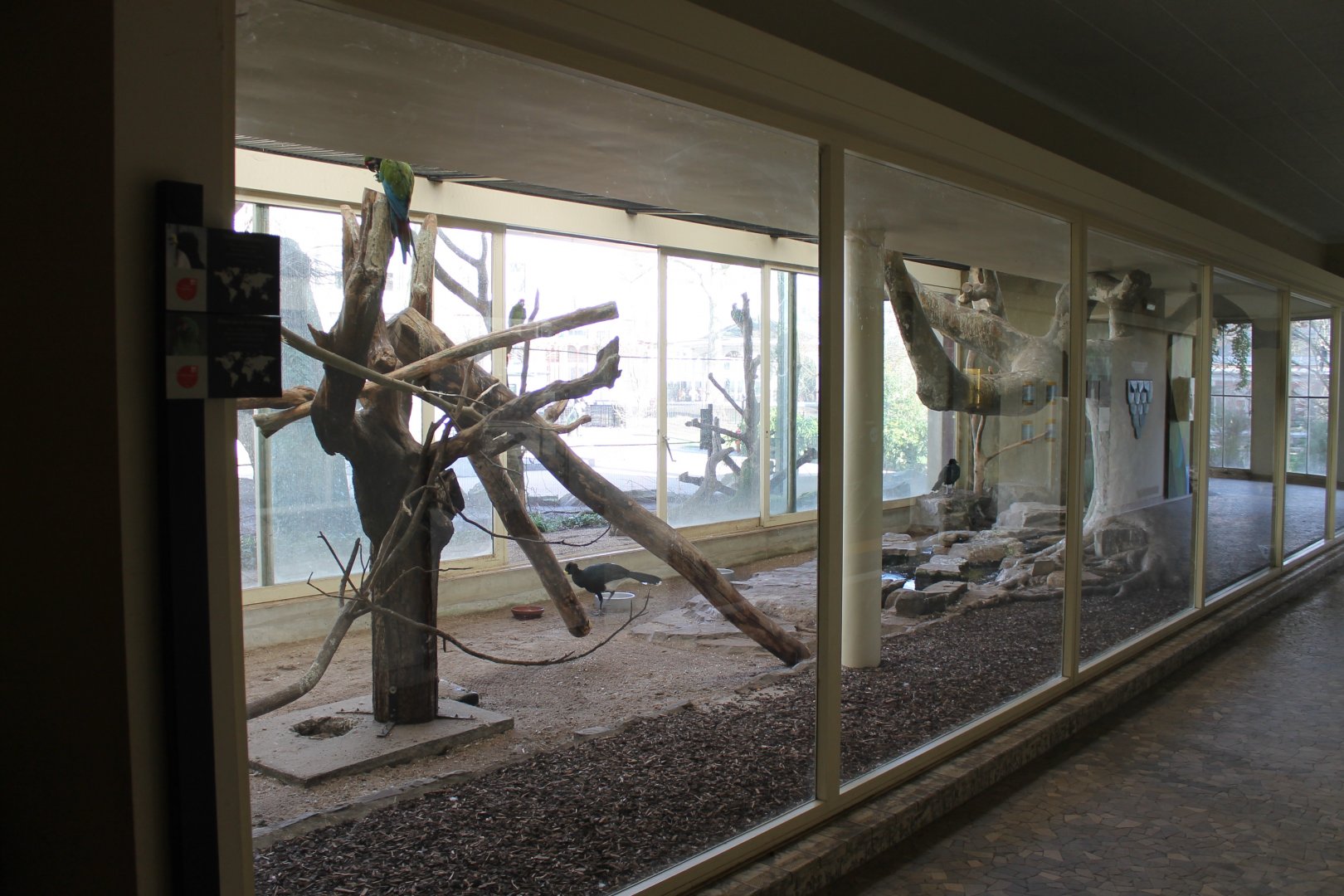 Macaw - Curassow indoor-enclosure