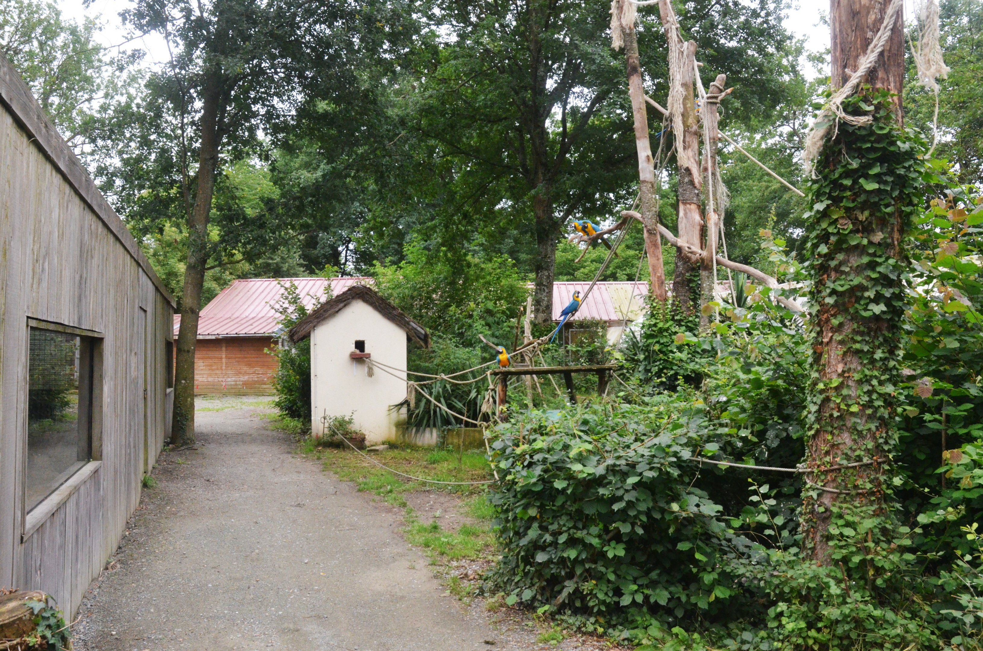 Macaw Enclosure and Capuchin Indoor Viewing at Spaycific'Zoo, 13/06/18