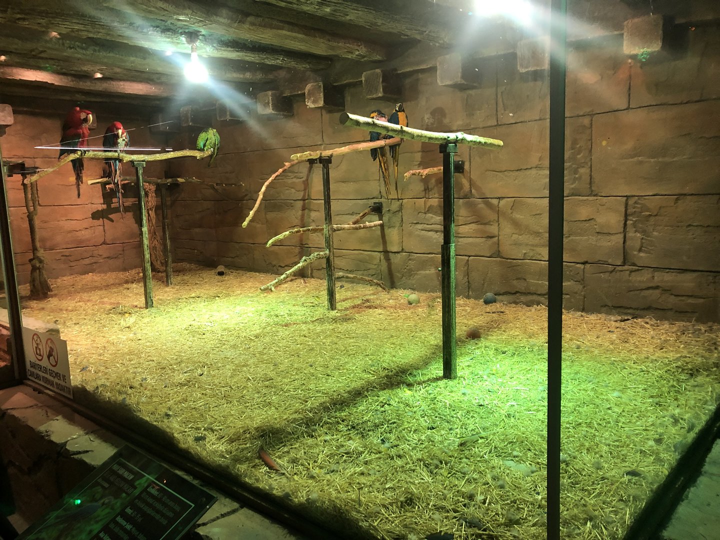 Macaw Enclosure at Aqua Vega