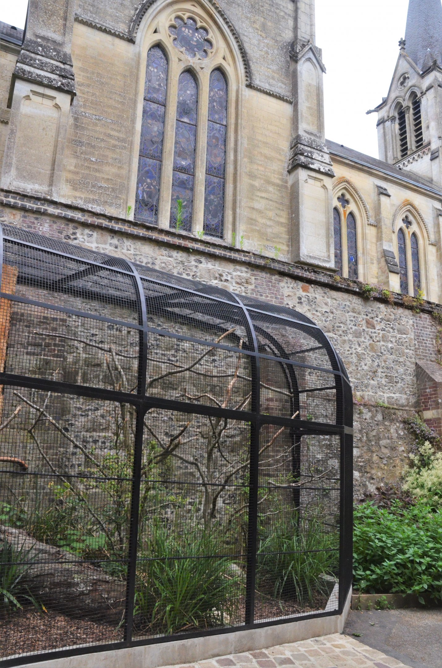 Macaw Enclosure at Clères, 16/06/18