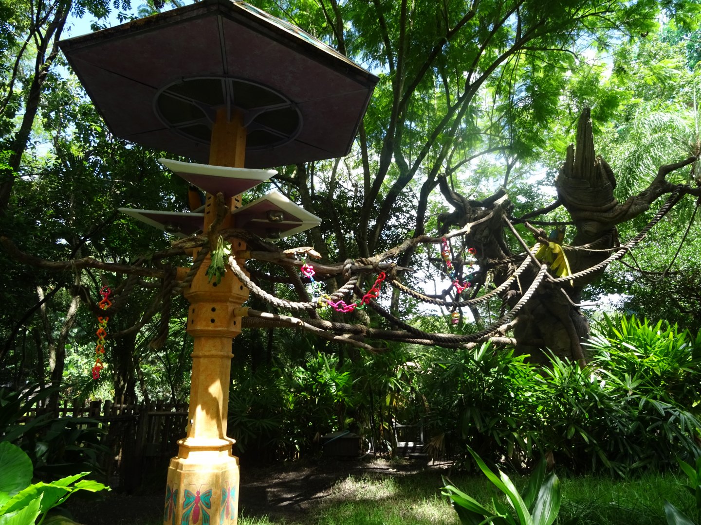 Macaw Enclosure at Disney's Animal Kingdom (2014)