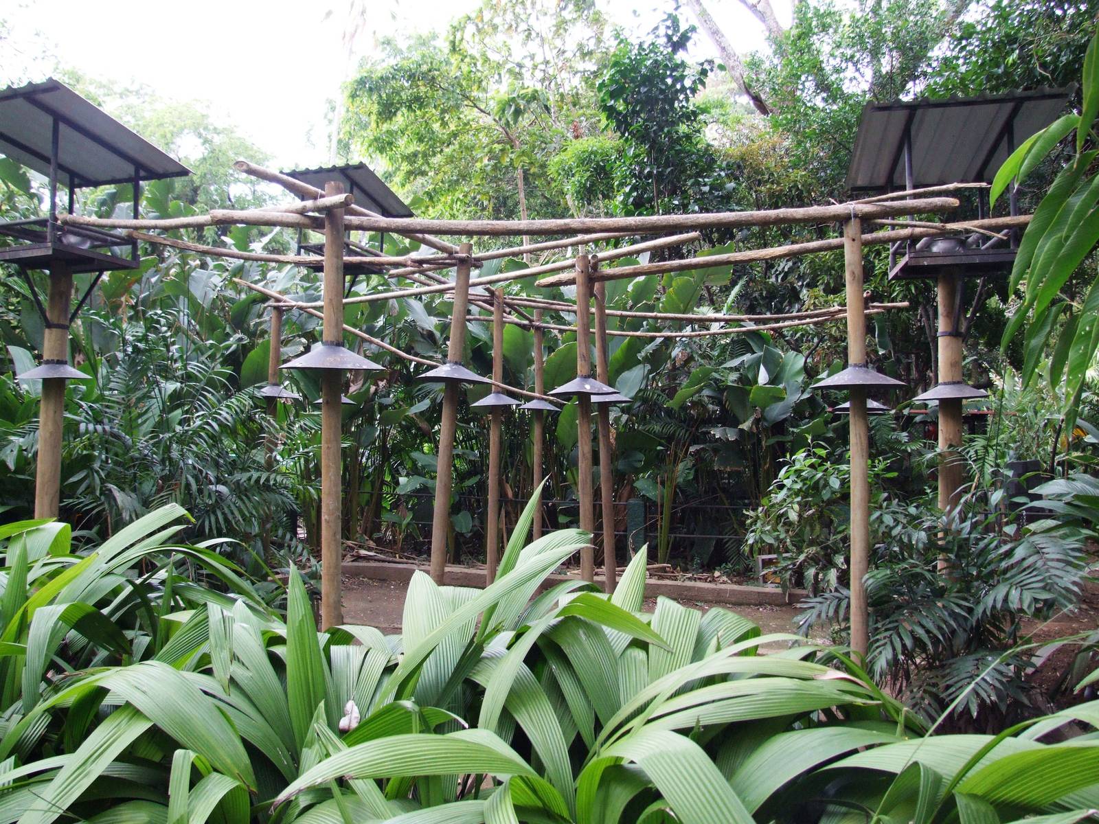 Macaw Enclosure at Zoo Simon Bolivar, 12/04/14