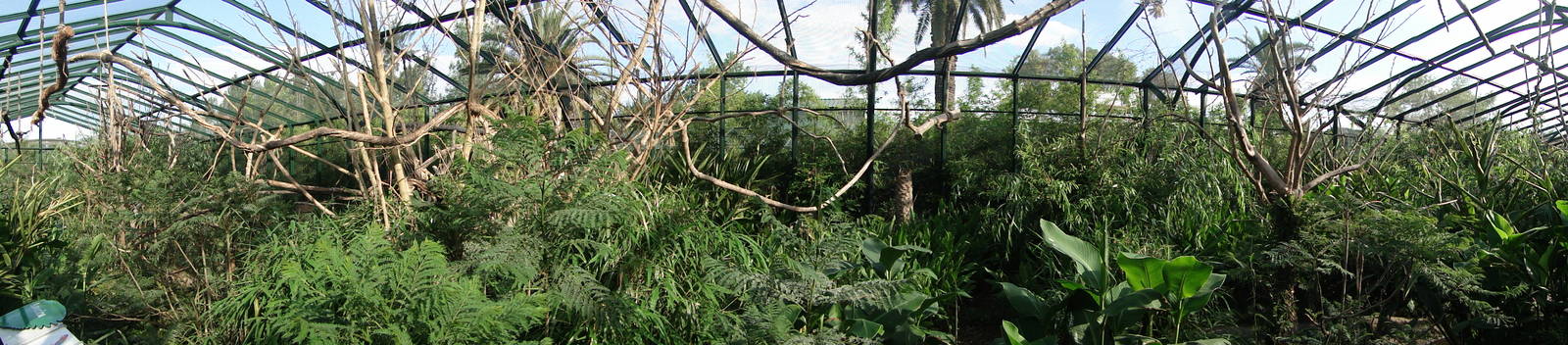 Macaw enclosure