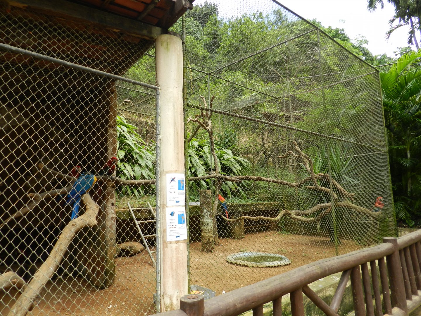 Macaw exhibit - Salvador zoo (PZGV)
