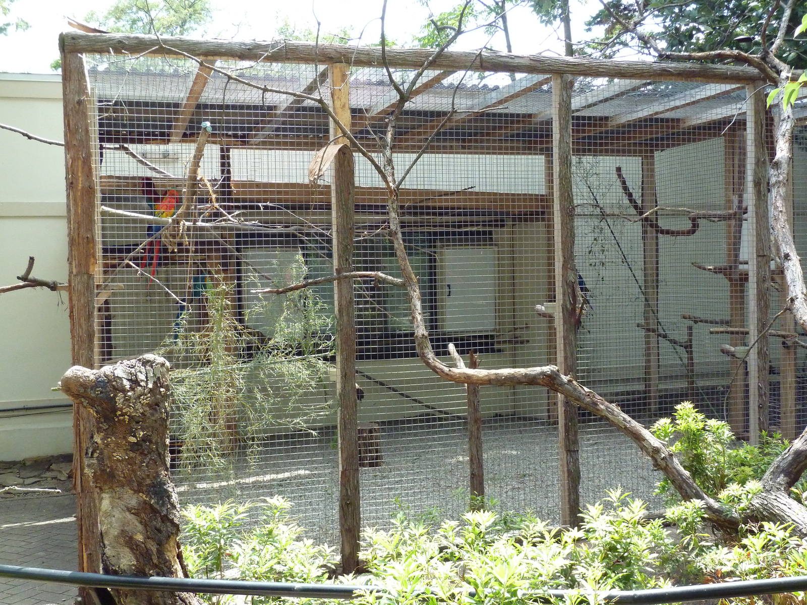 Macaw Exhibit